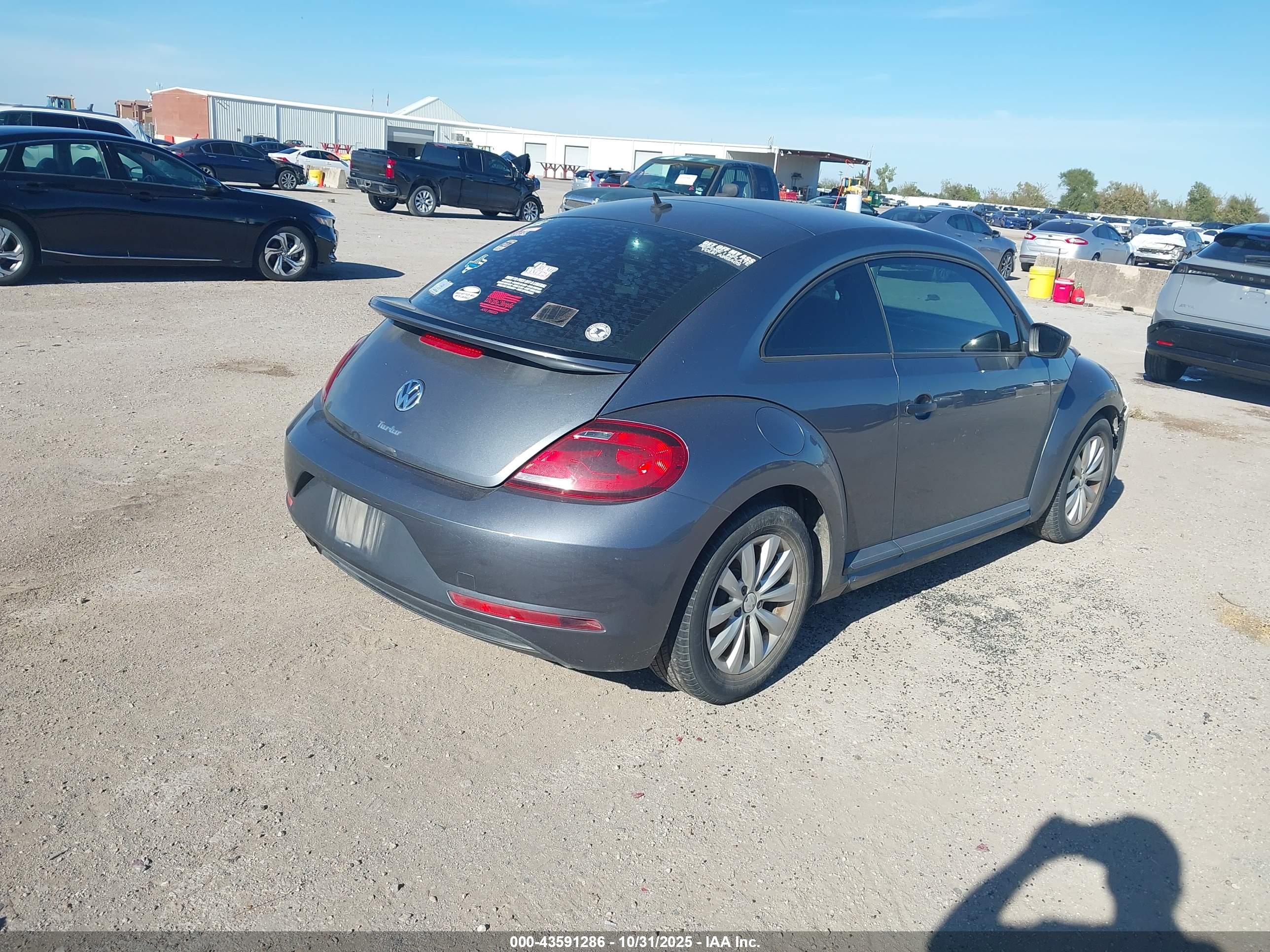 VOLKSWAGEN BEETLE image 4