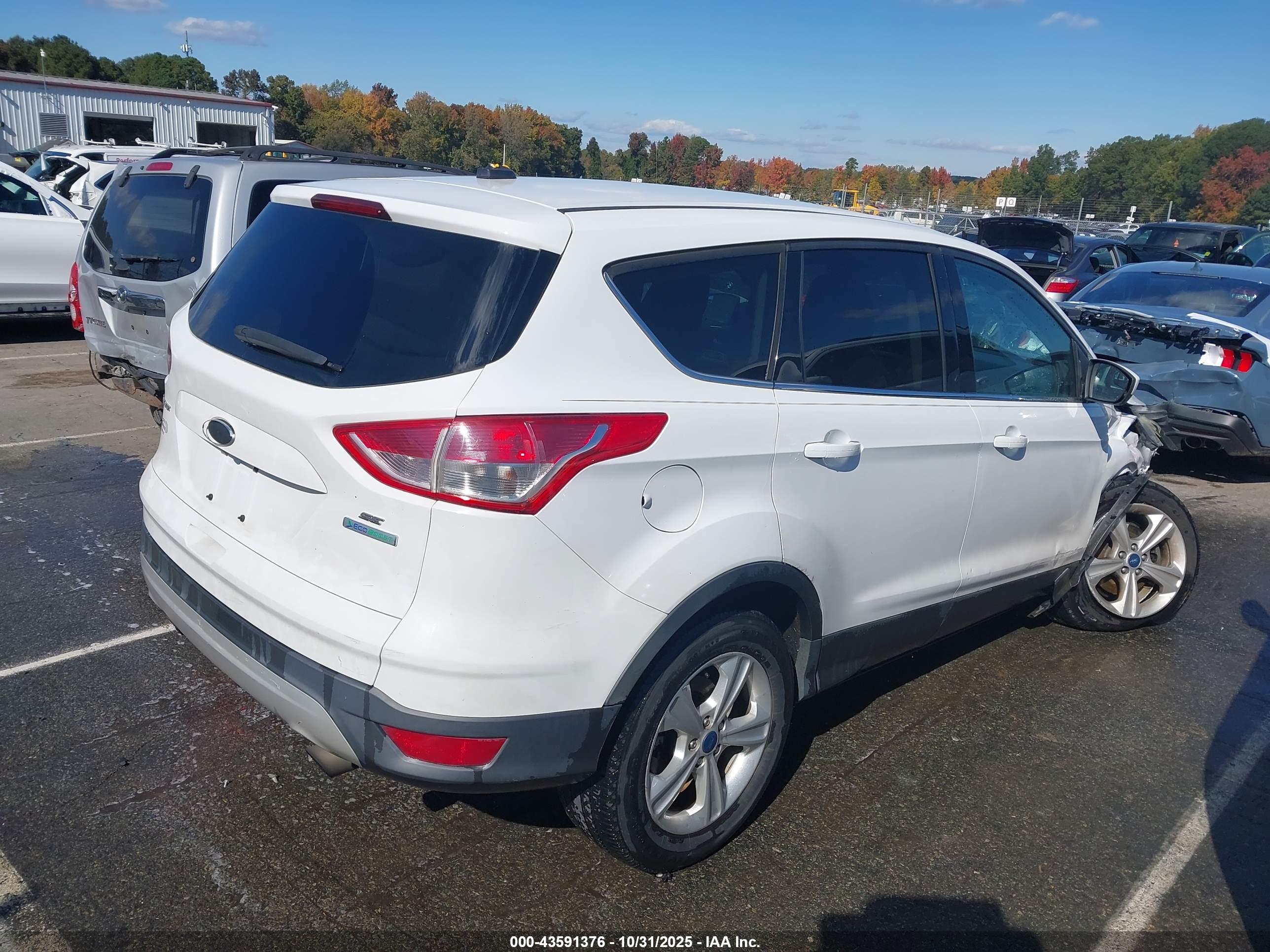 FORD ESCAPE image 4