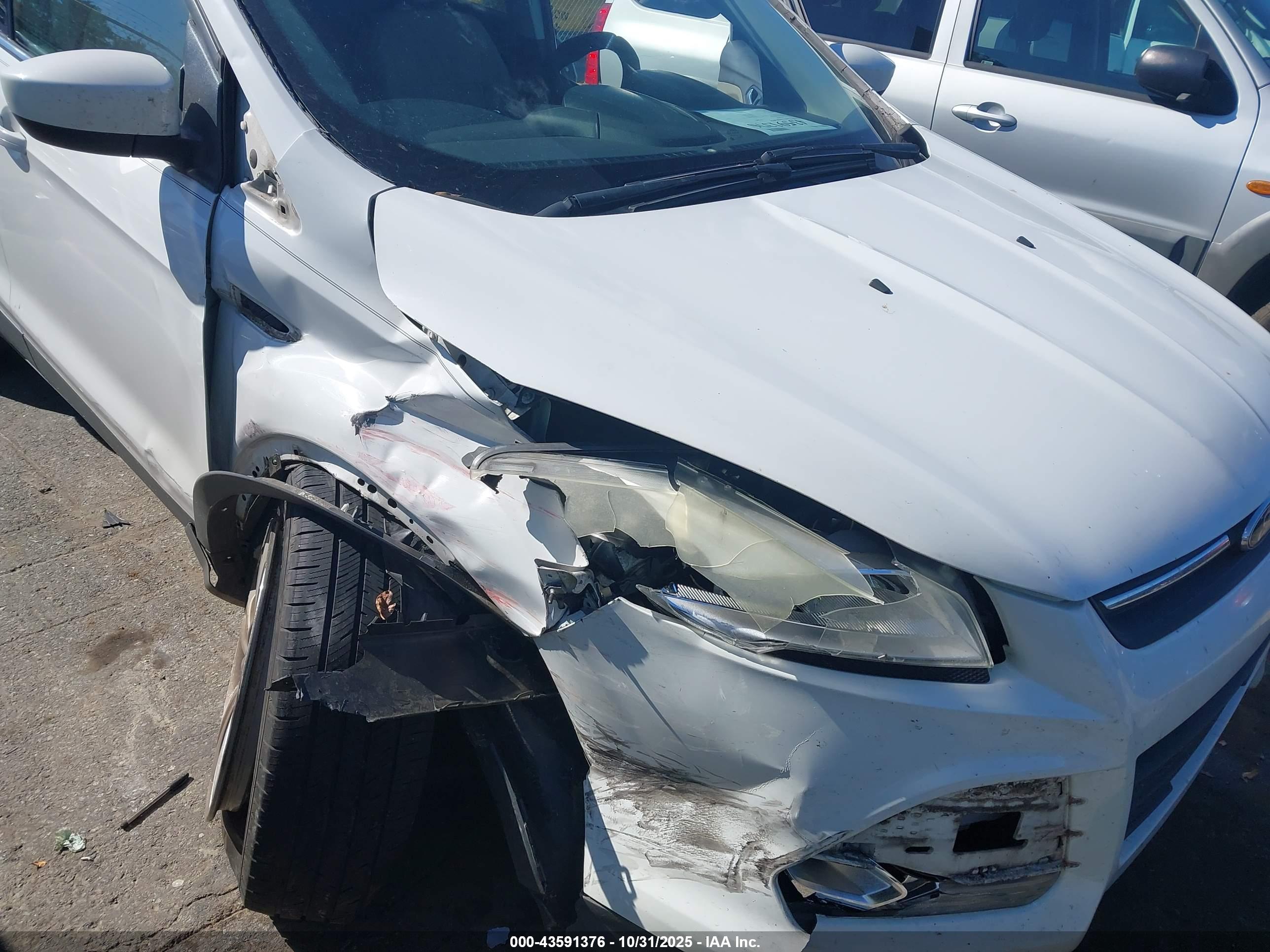 FORD ESCAPE image 6