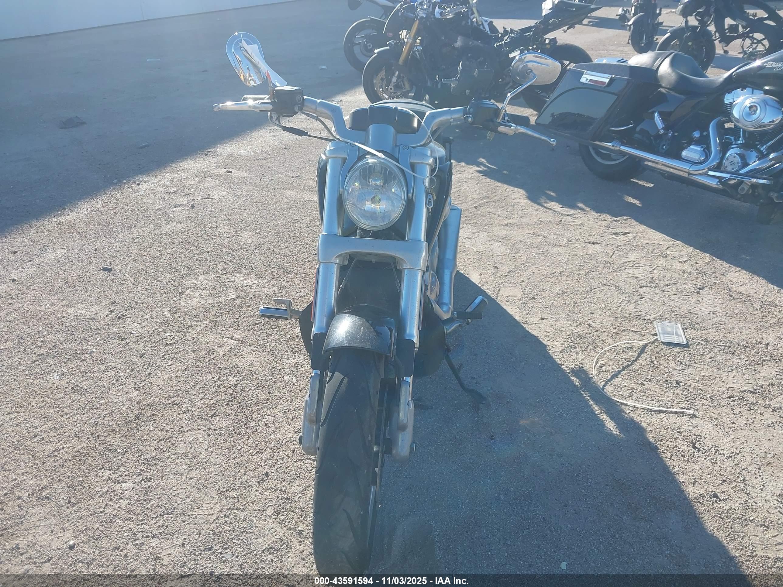 HARLEY-DAVIDSON VRSCF image 5