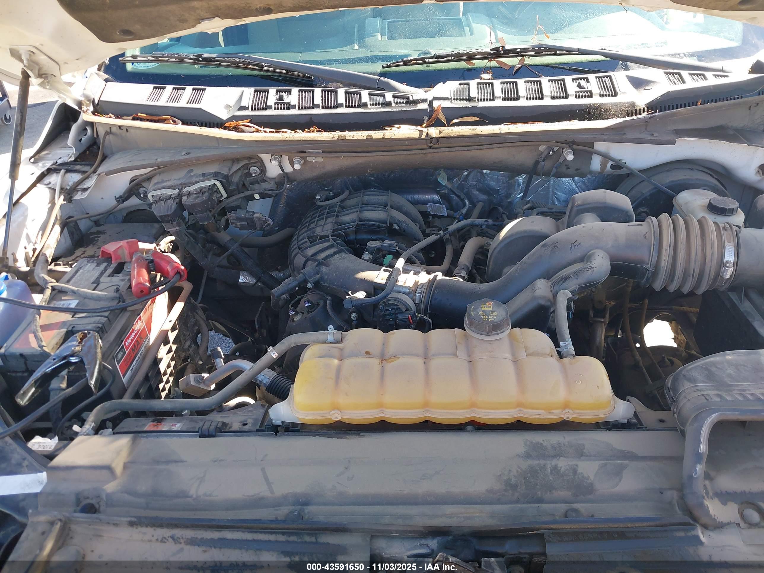 FORD F-150 image 10