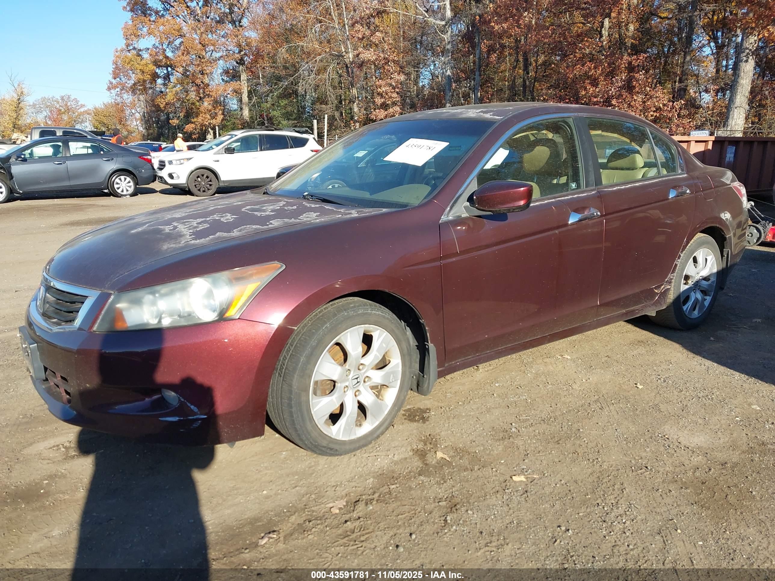 HONDA ACCORD image 2