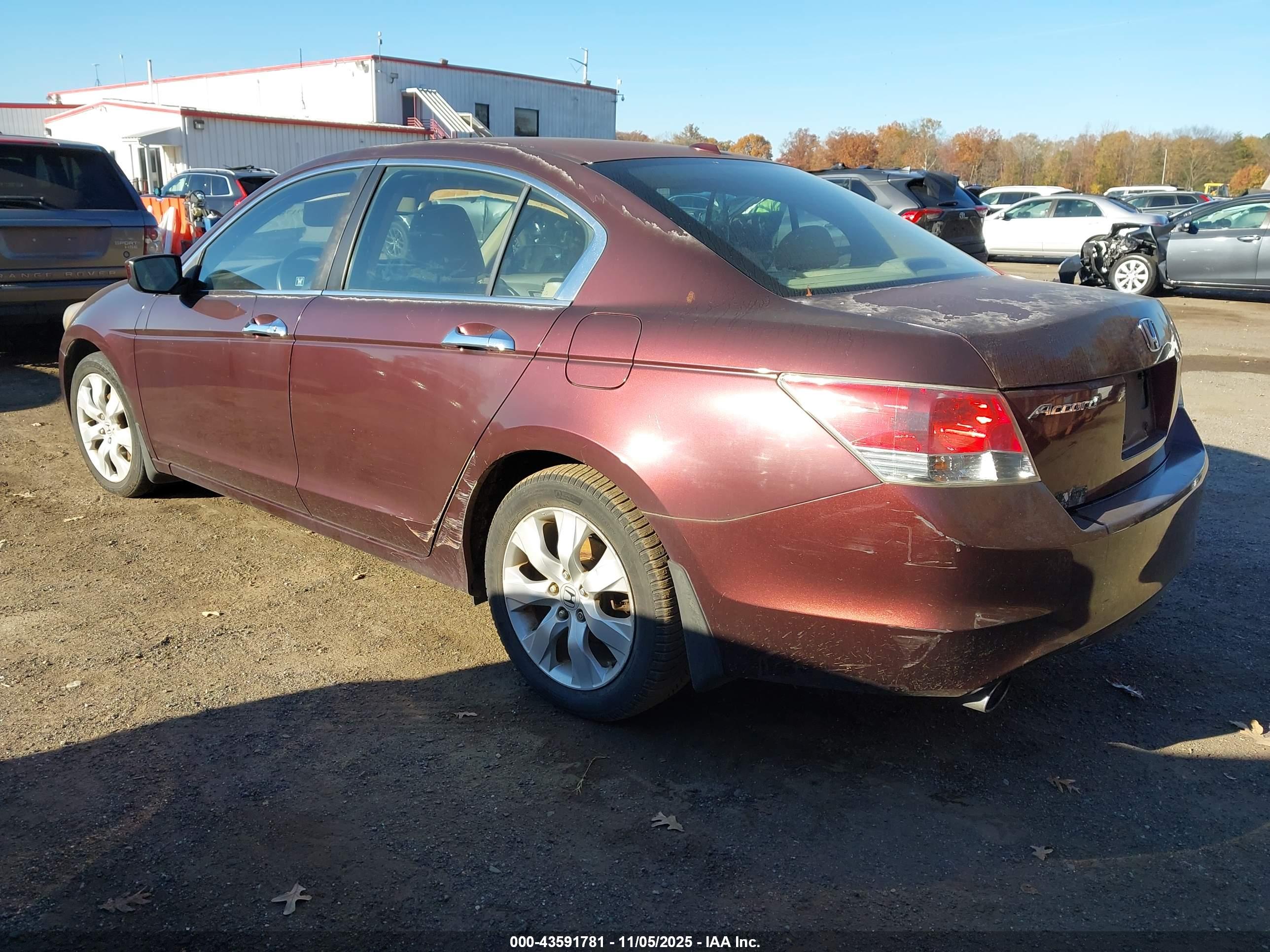 HONDA ACCORD image 3