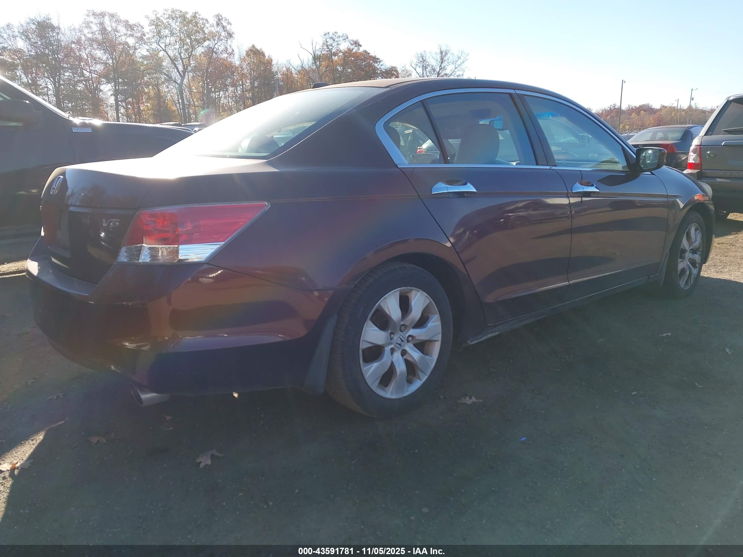 HONDA ACCORD image 4