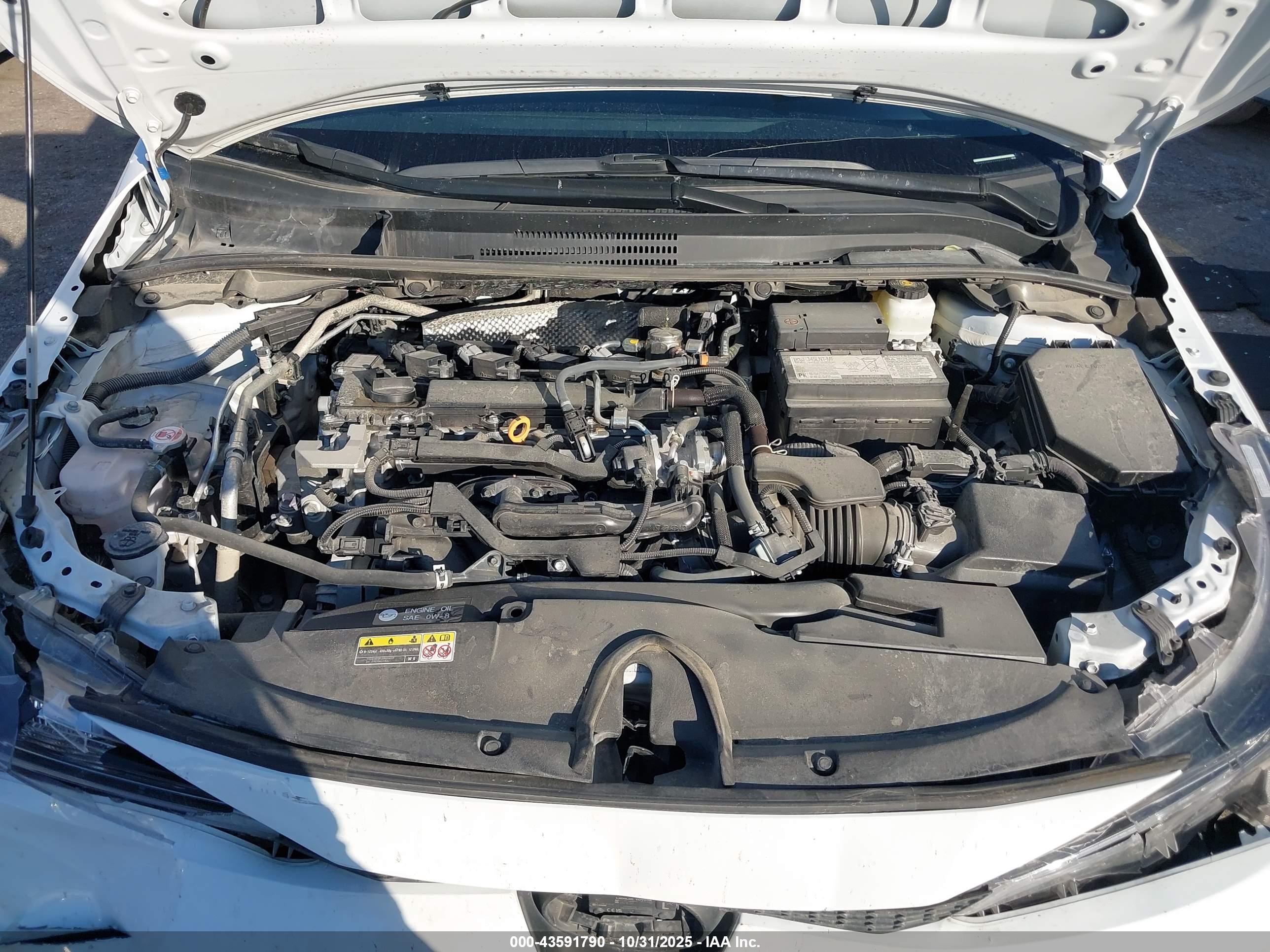 TOYOTA COROLLA image 10