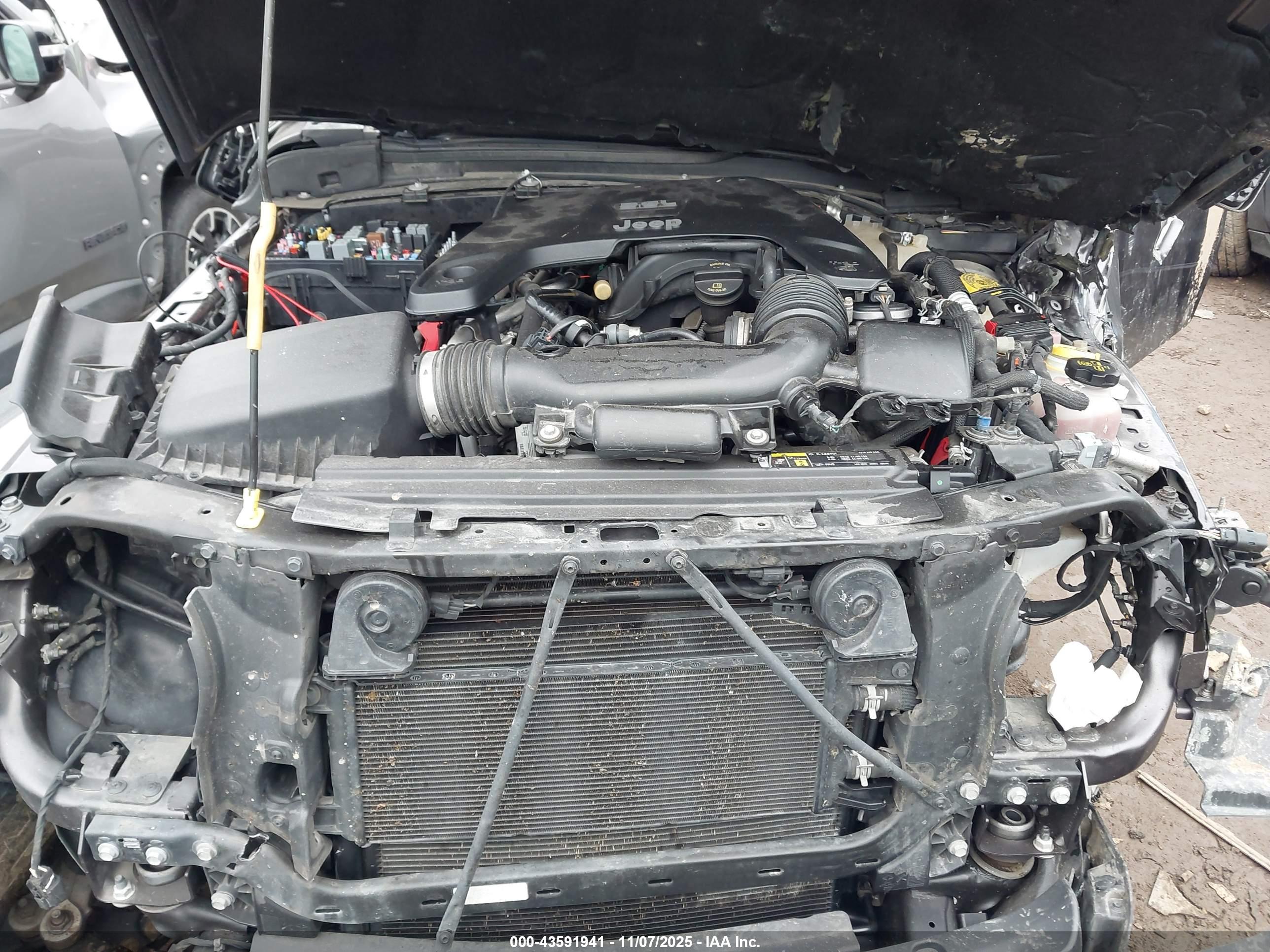 JEEP WRANGLER image 10