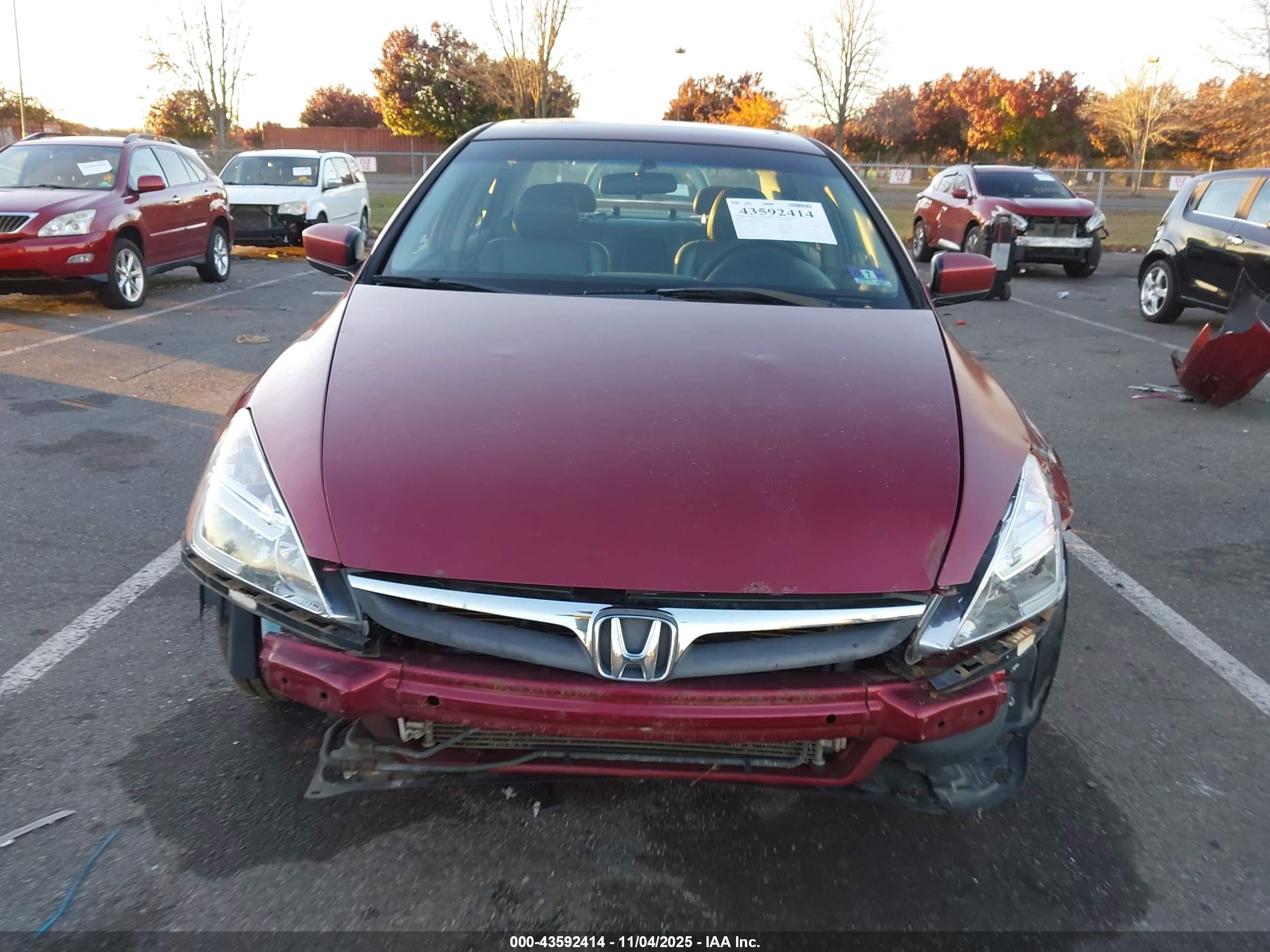 HONDA ACCORD image 6