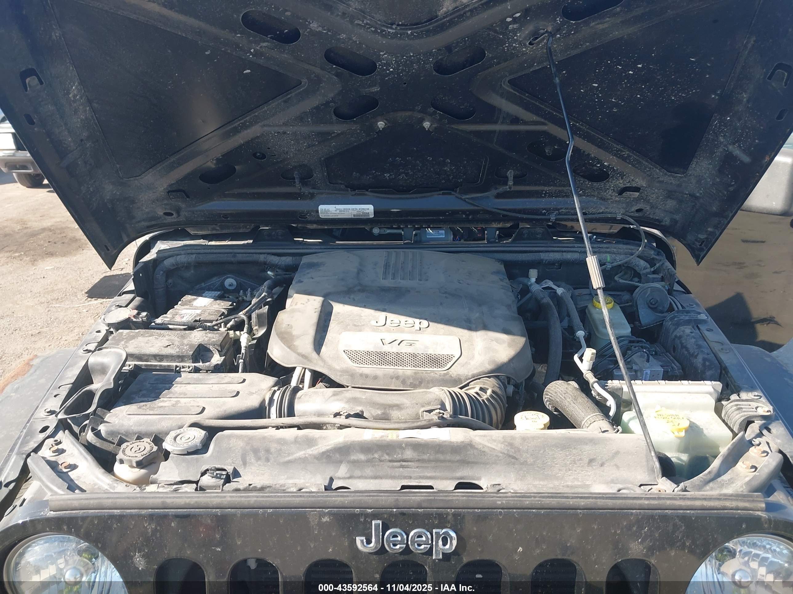 JEEP WRANGLER image 10