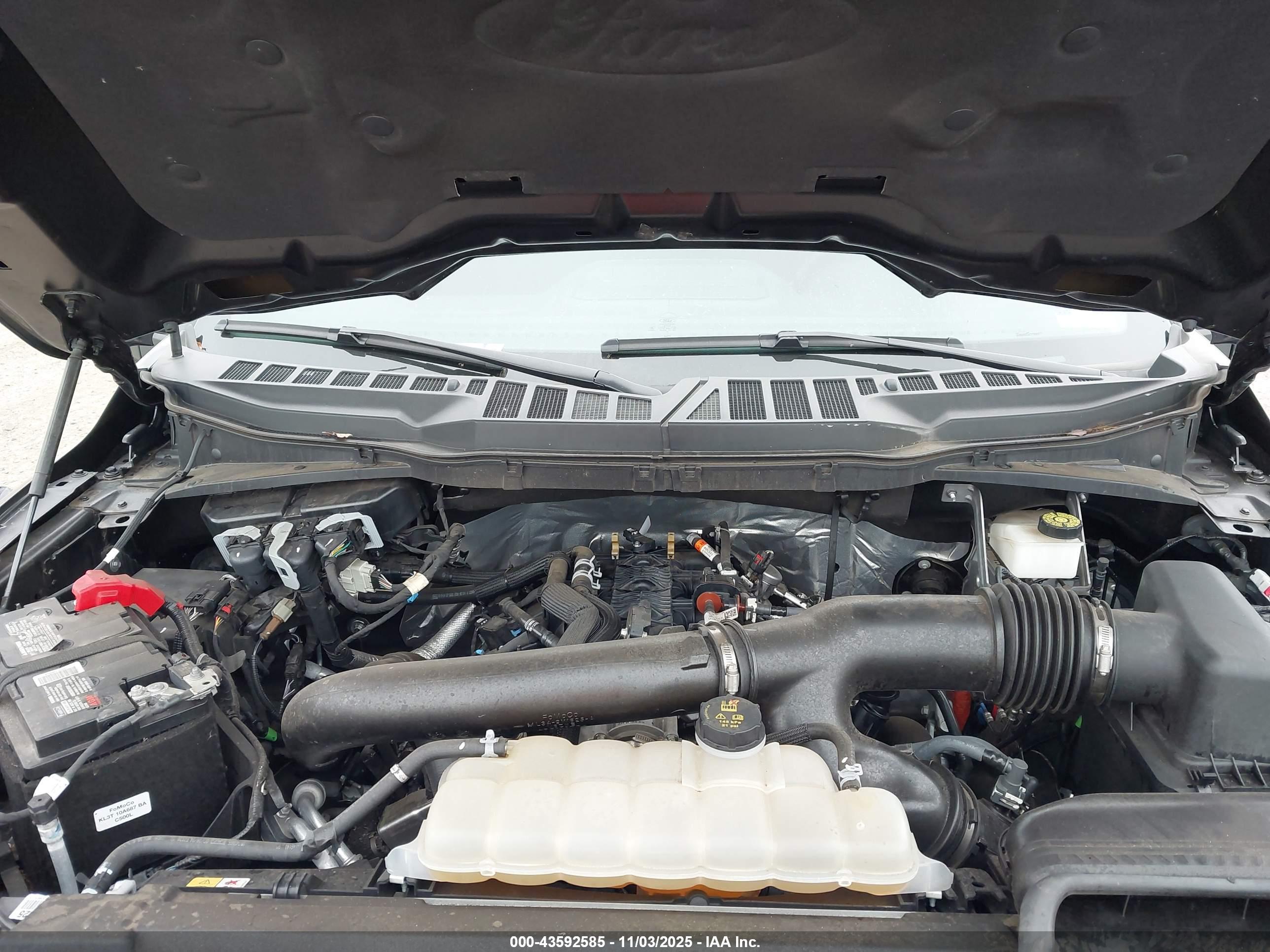FORD F-150 image 10