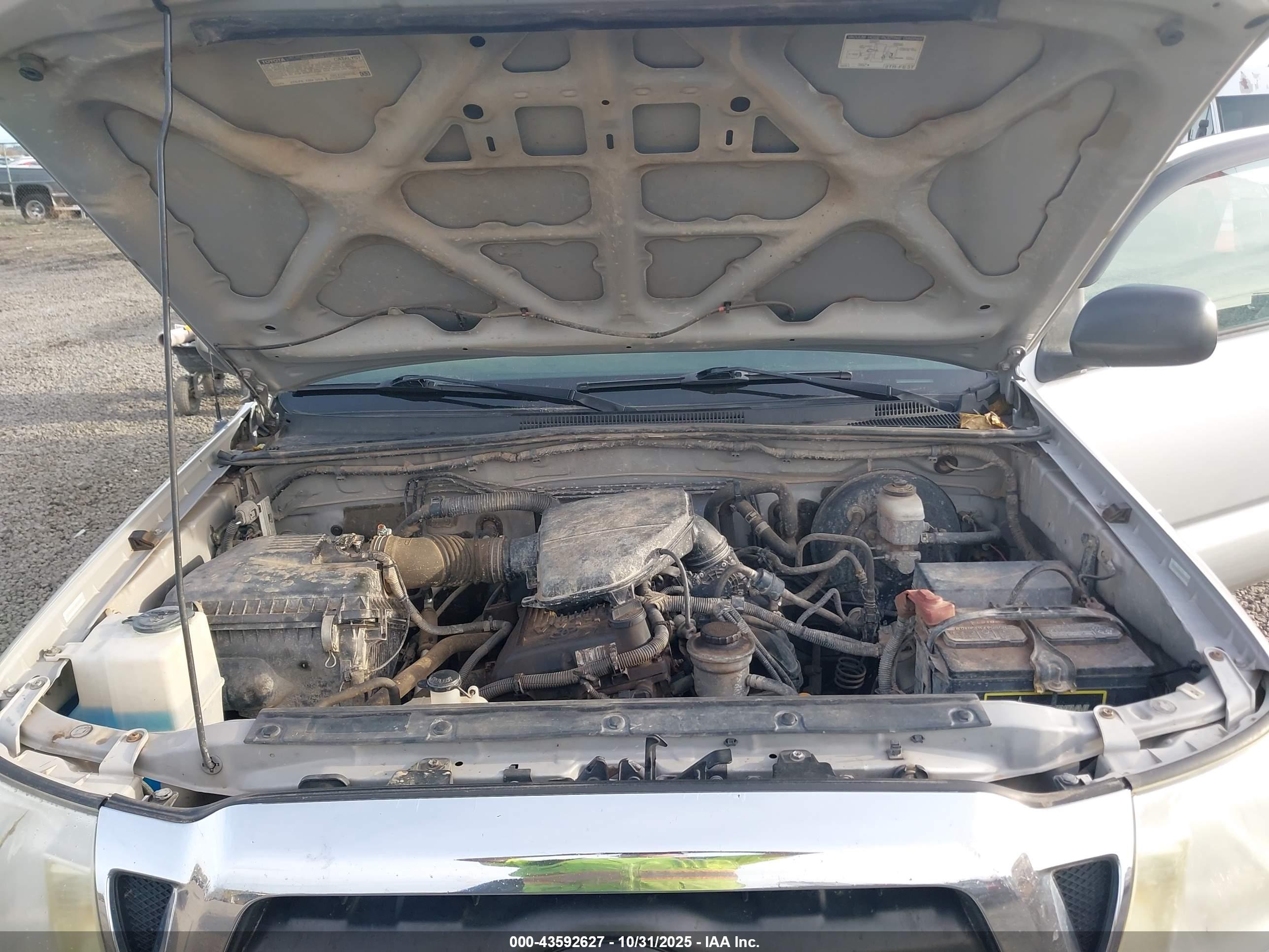 TOYOTA TACOMA image 10