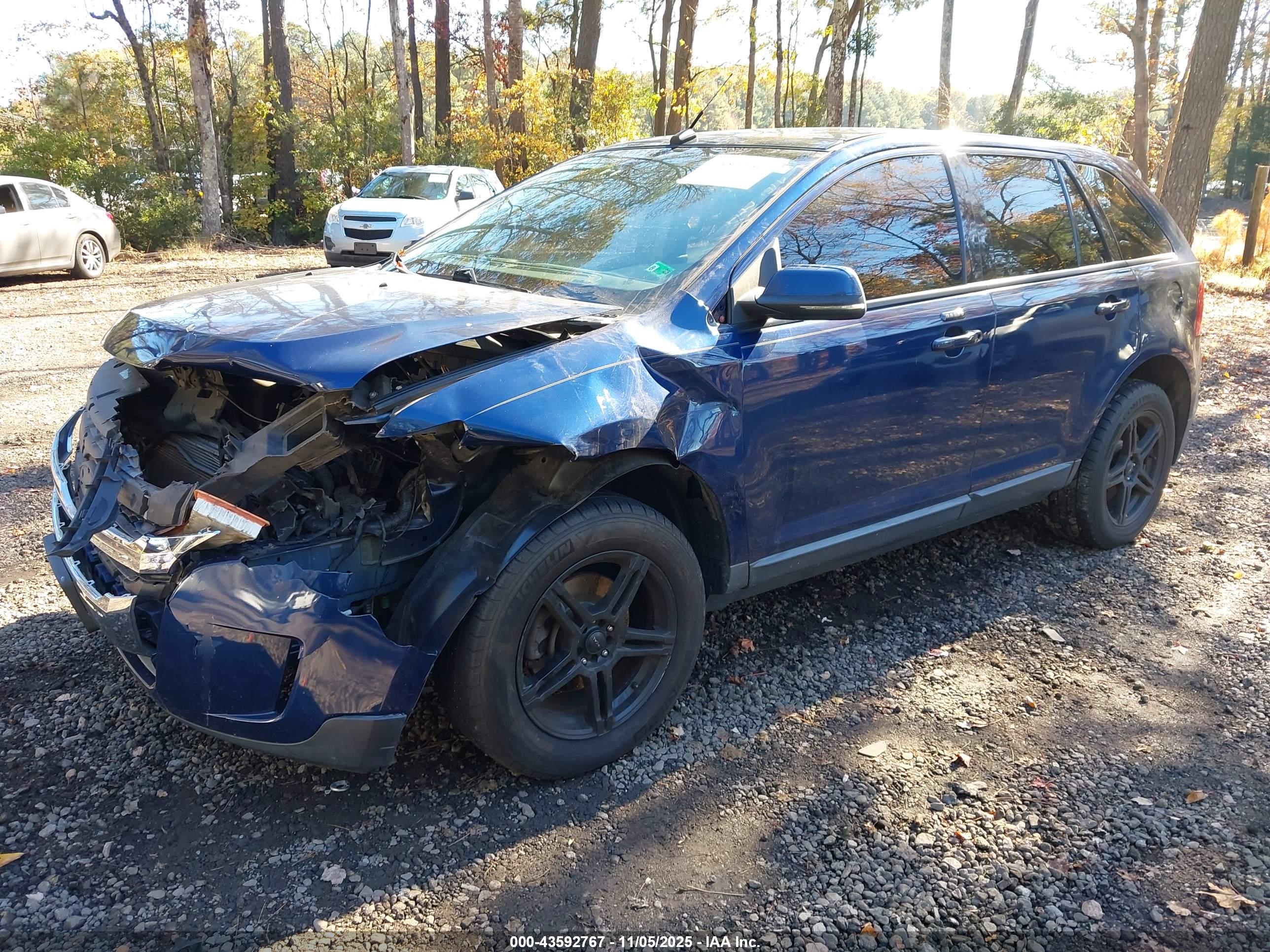 FORD EDGE image 2