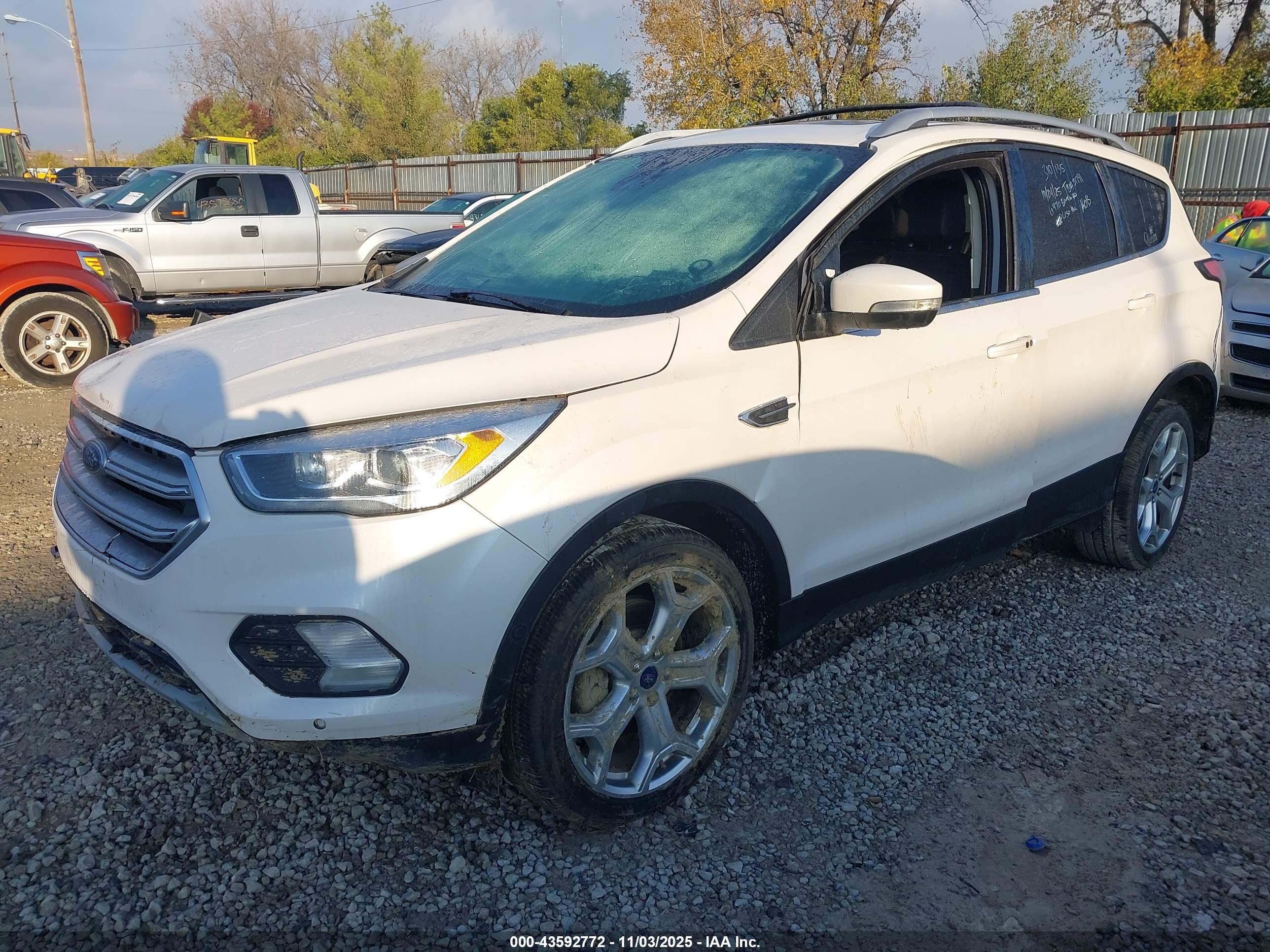 FORD ESCAPE image 2