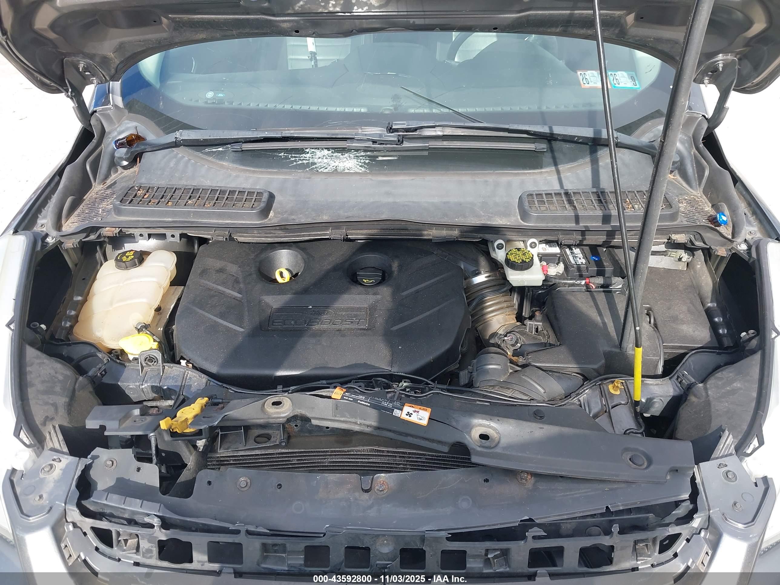 FORD ESCAPE image 10
