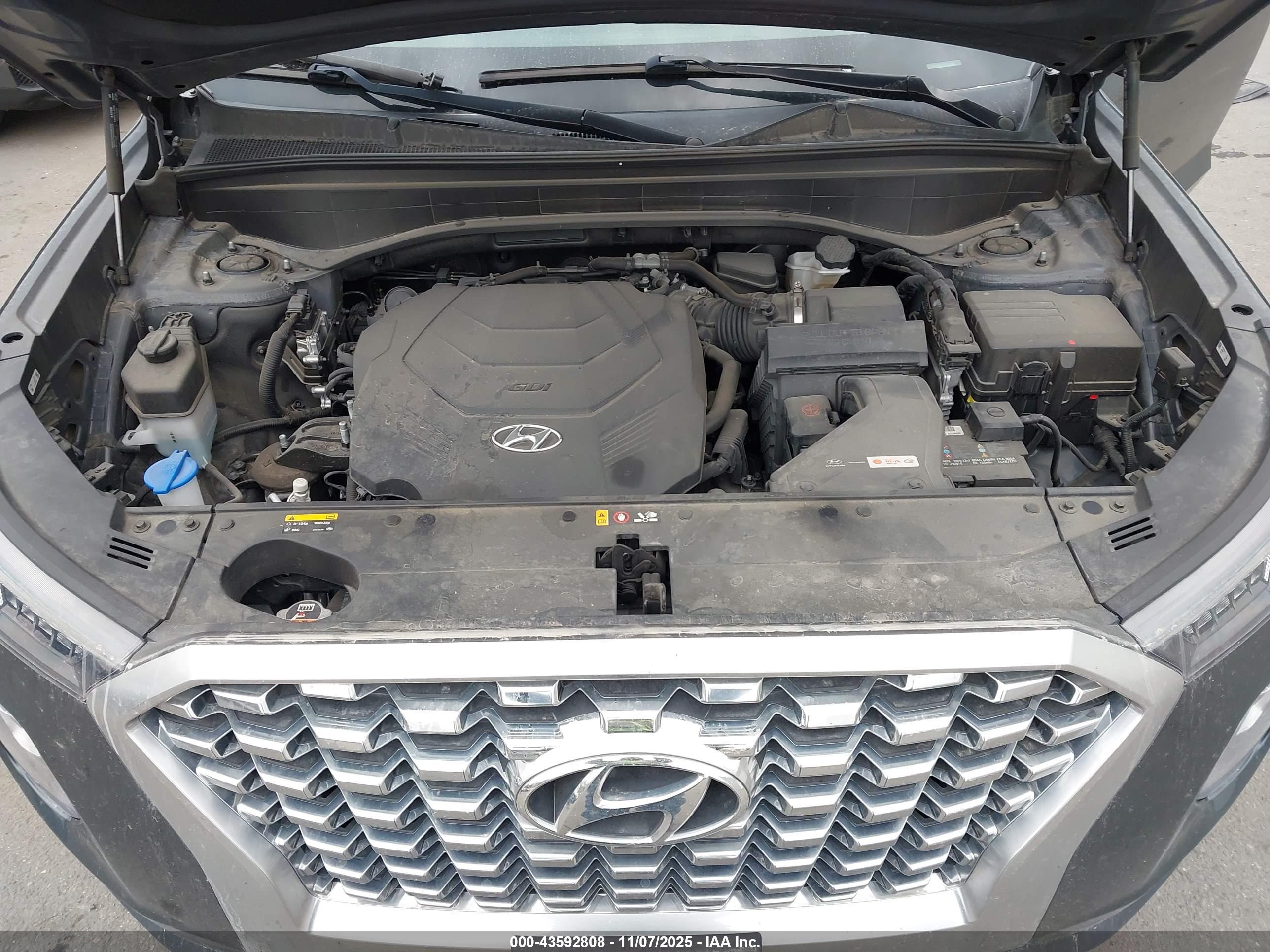 HYUNDAI PALISADE image 10