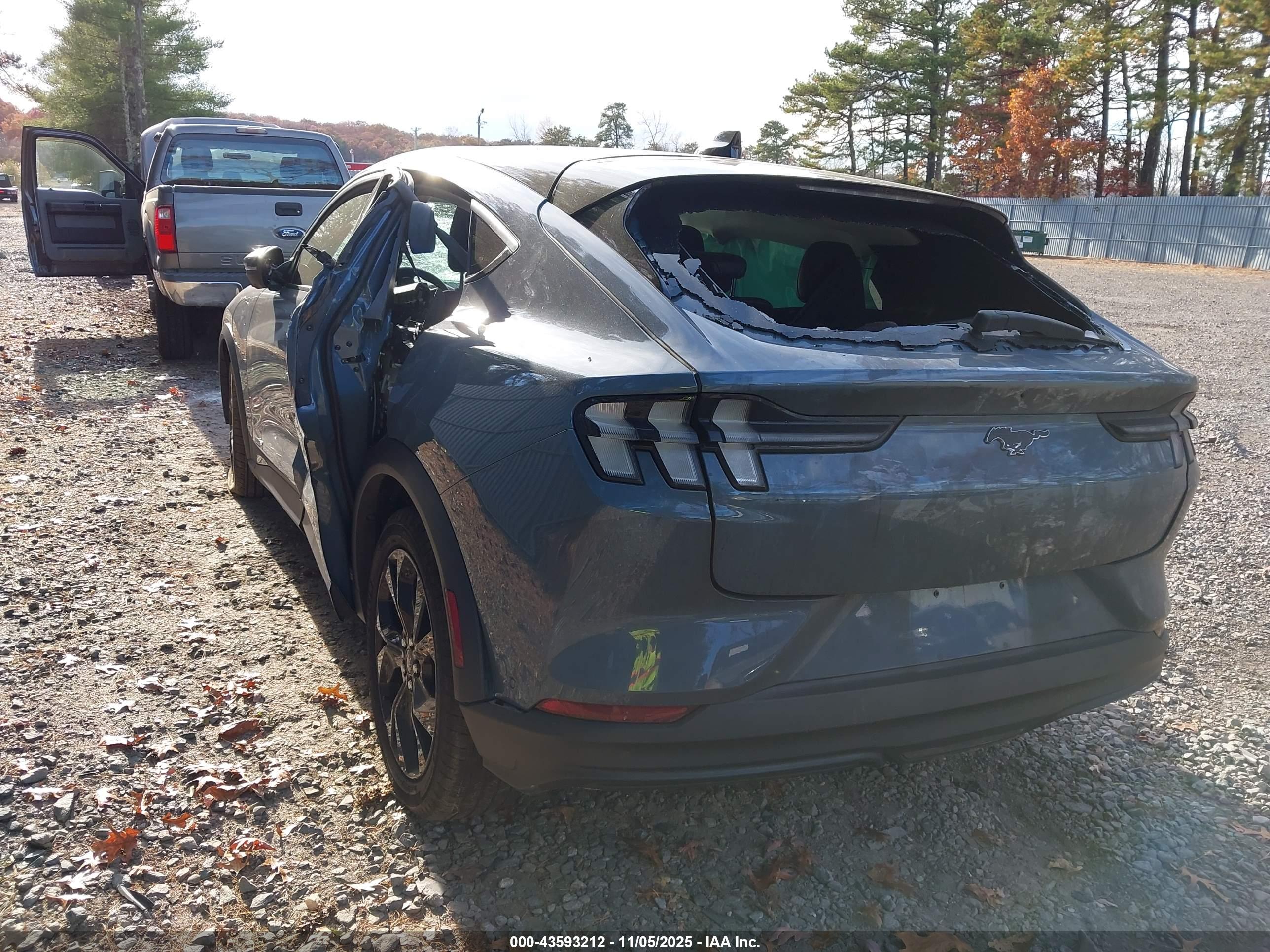 FORD MUSTANG image 3
