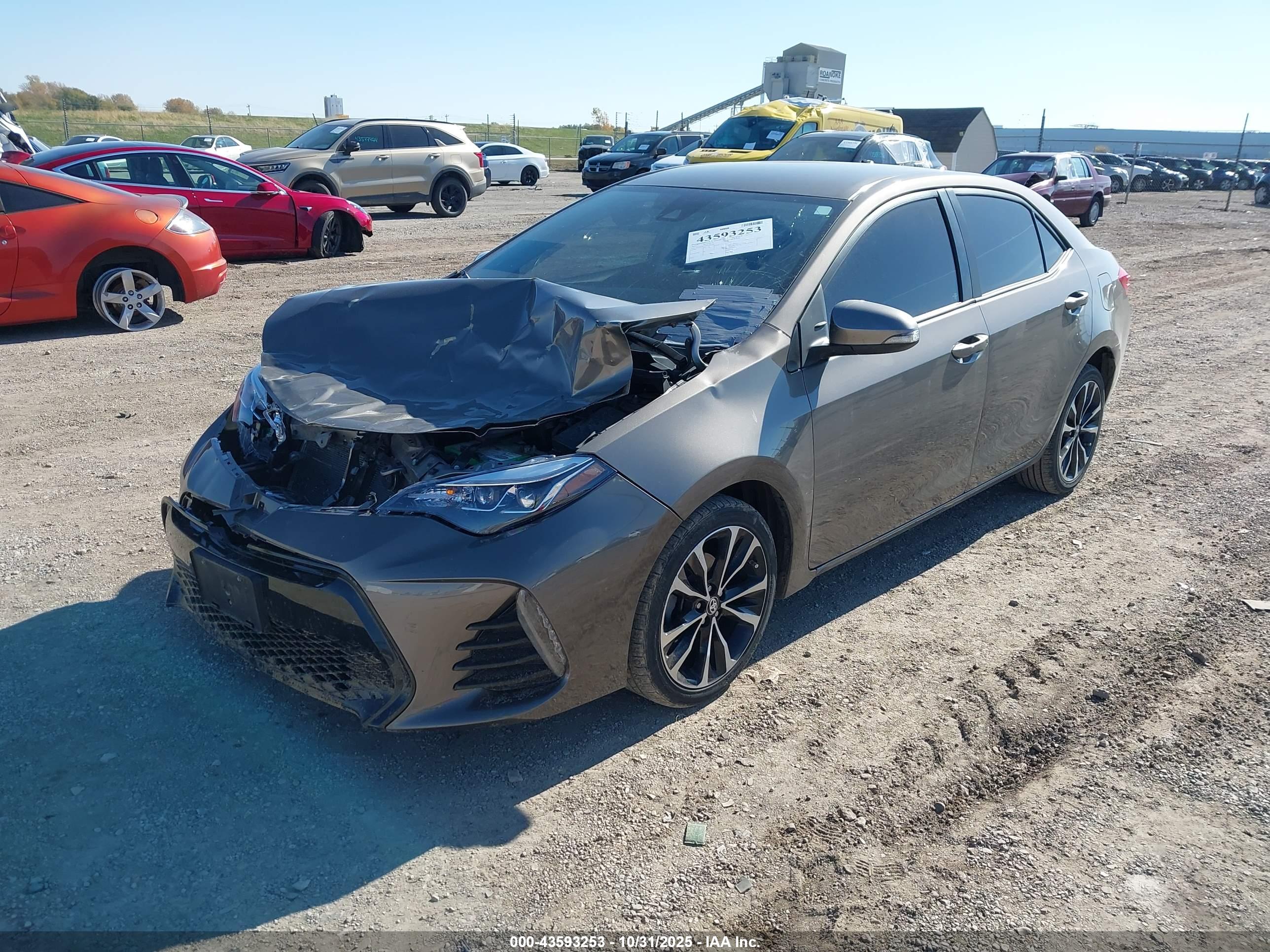 TOYOTA COROLLA image 2