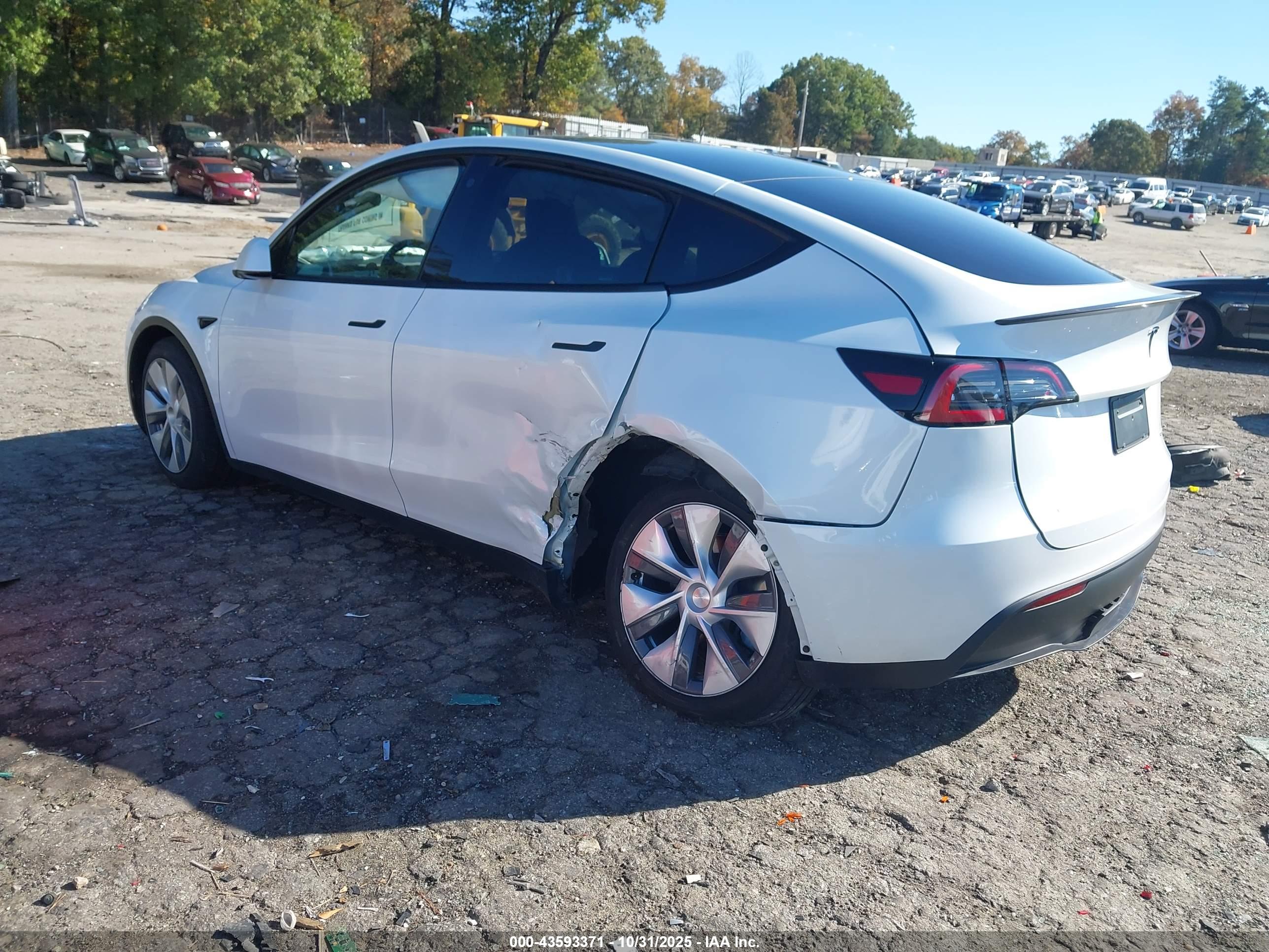 TESLA MODEL image 3