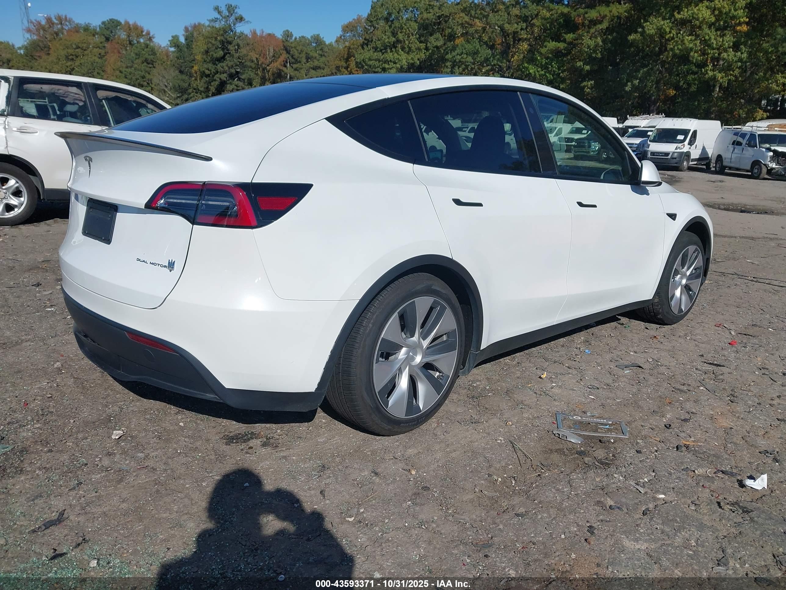 TESLA MODEL image 4