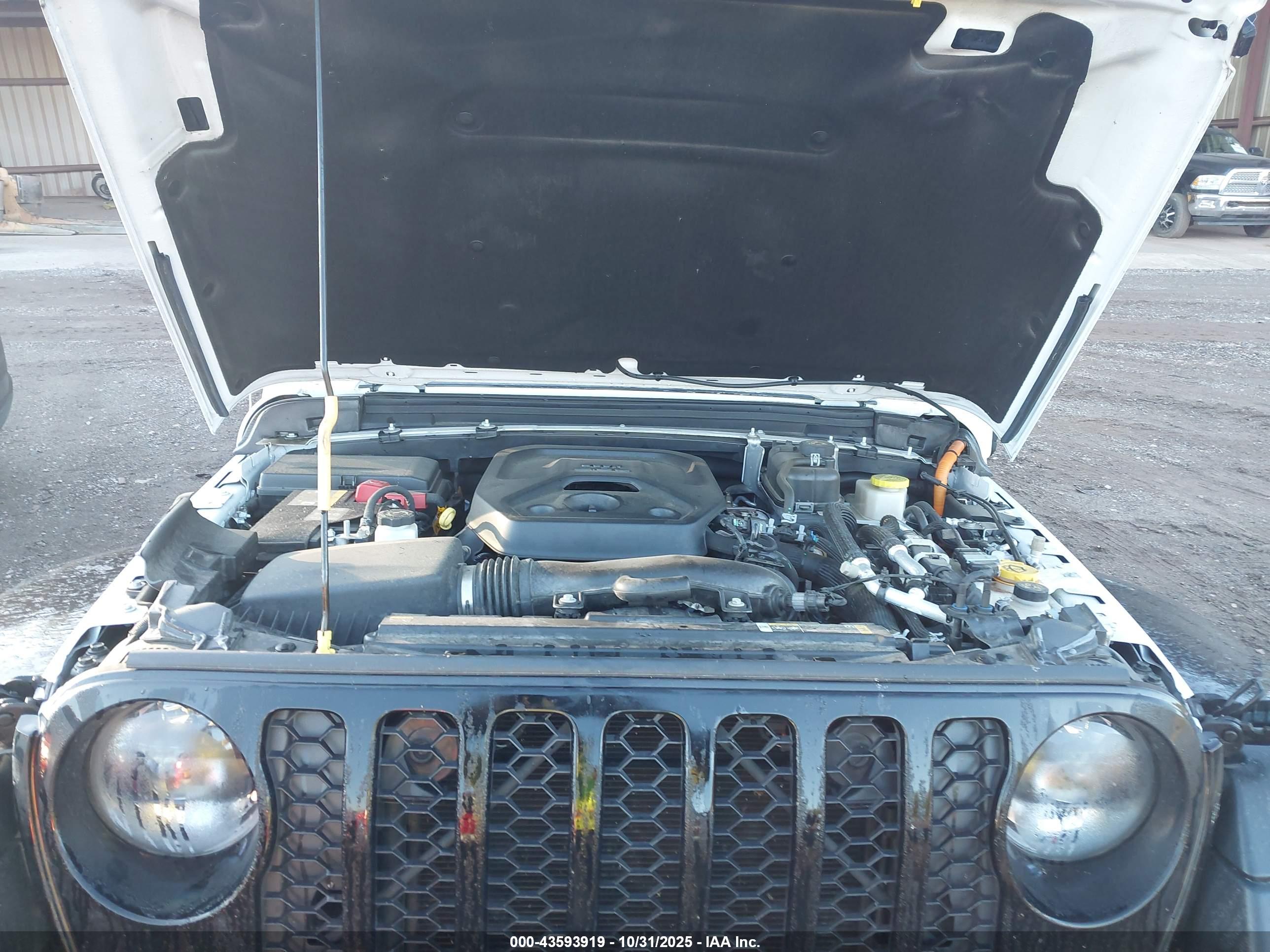 JEEP WRANGLER image 10