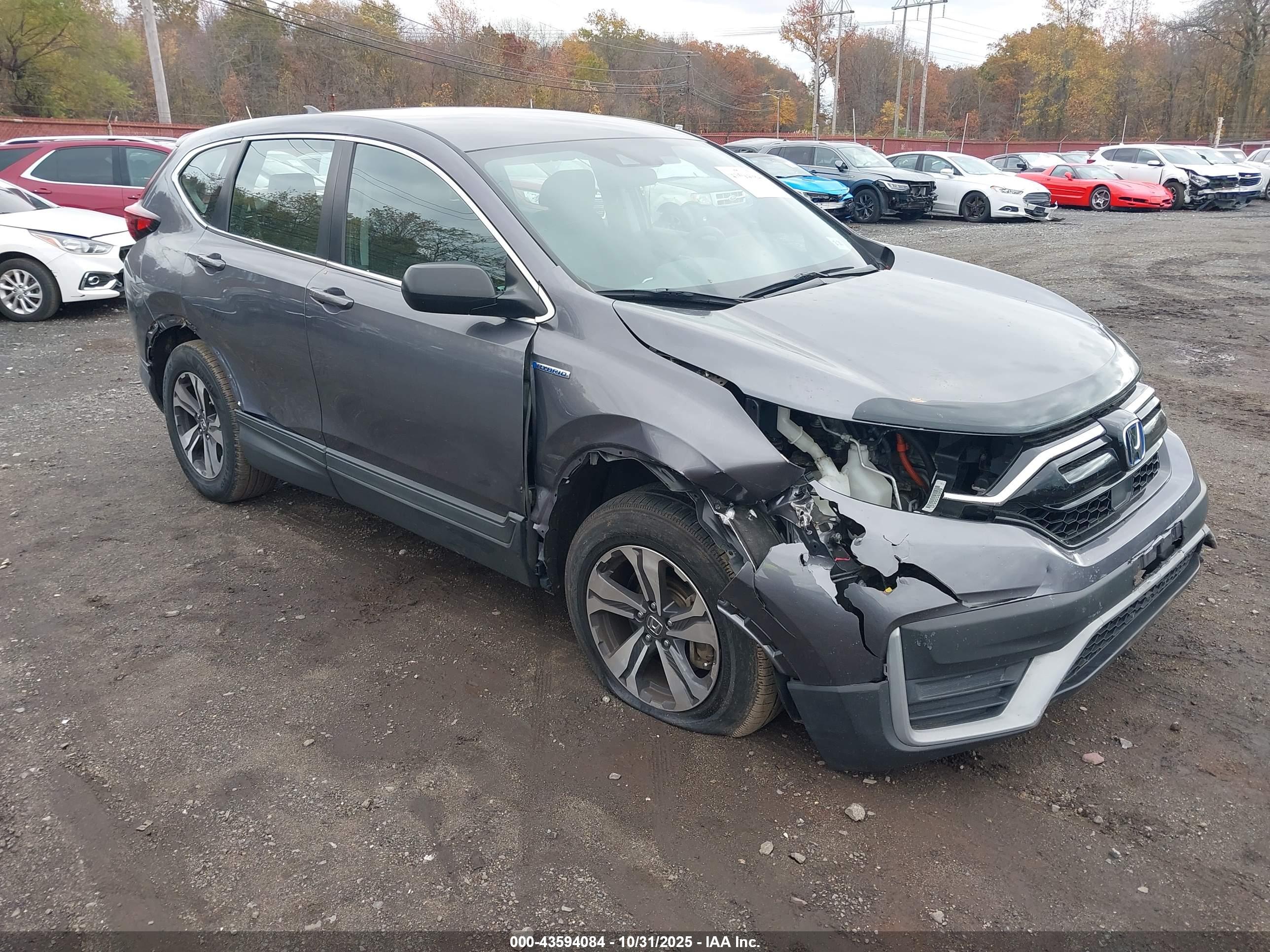 HONDA CR-V image 6