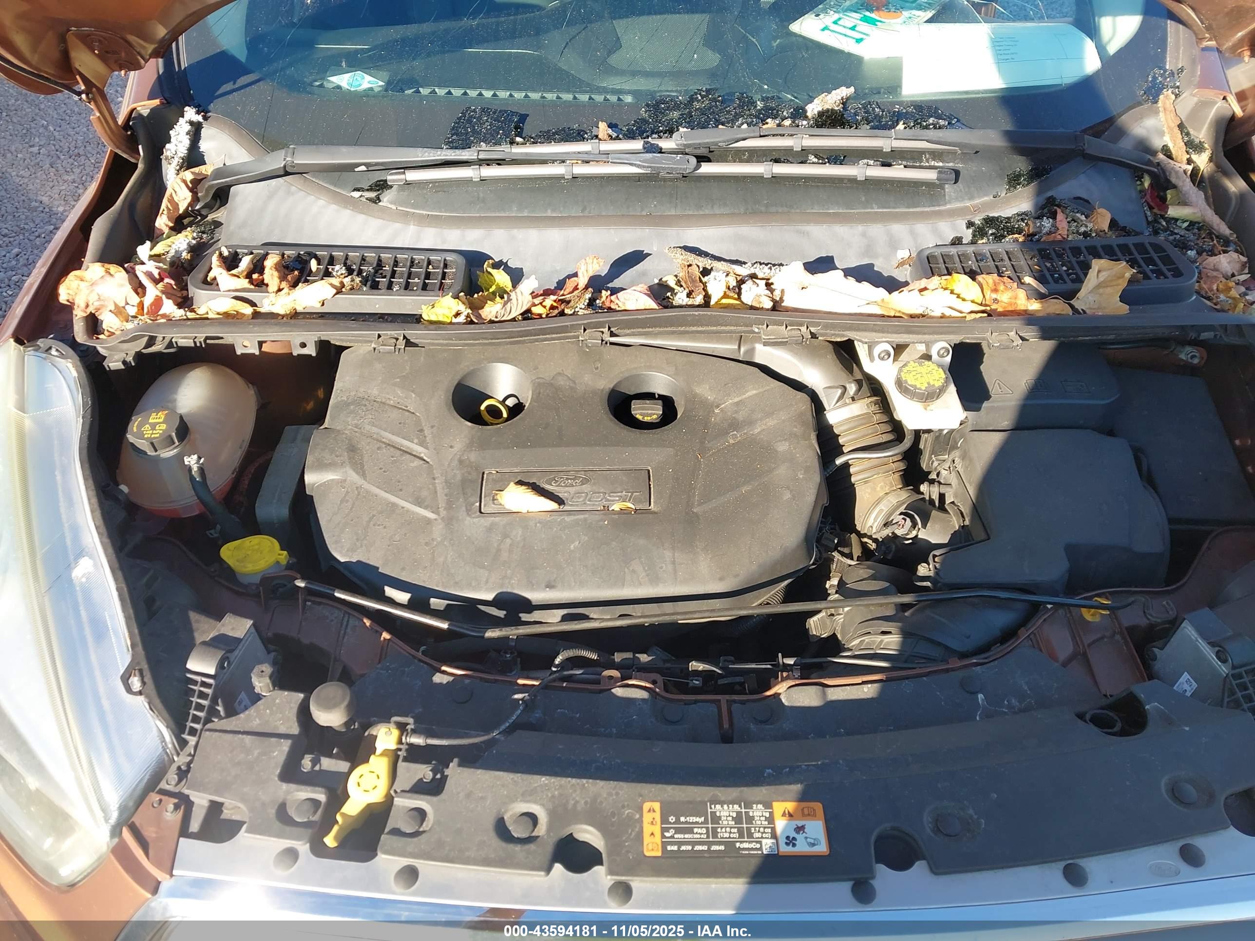 FORD ESCAPE image 10