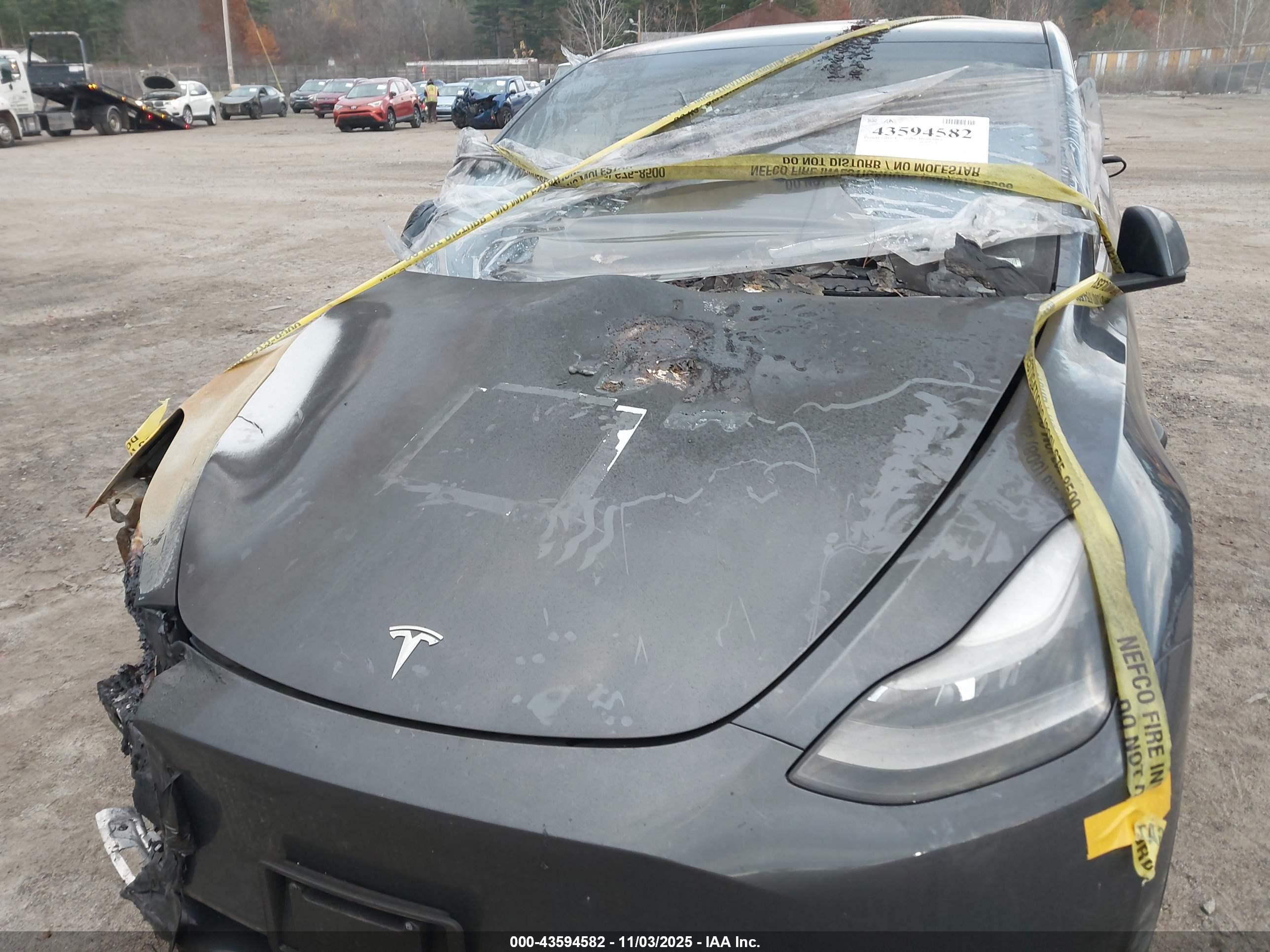 TESLA MODEL image 10