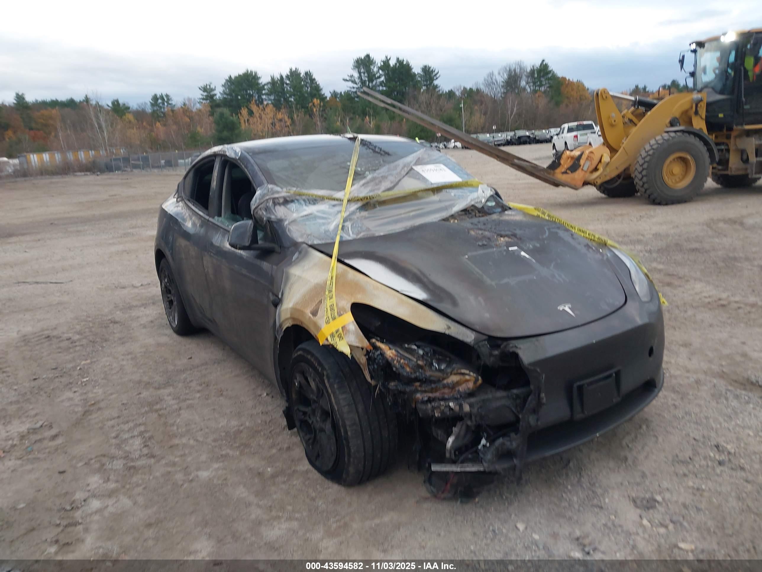 TESLA MODEL image 6