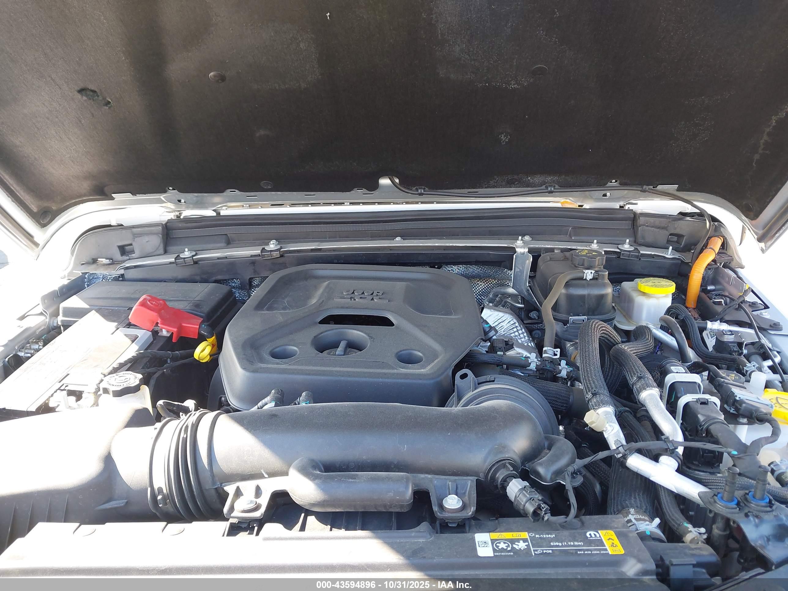 JEEP WRANGLER image 10
