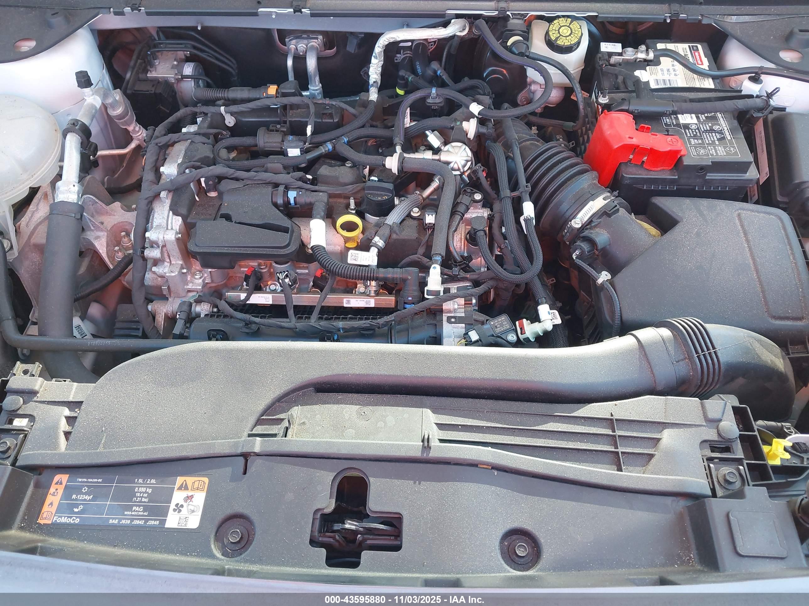 FORD BRONCO image 10