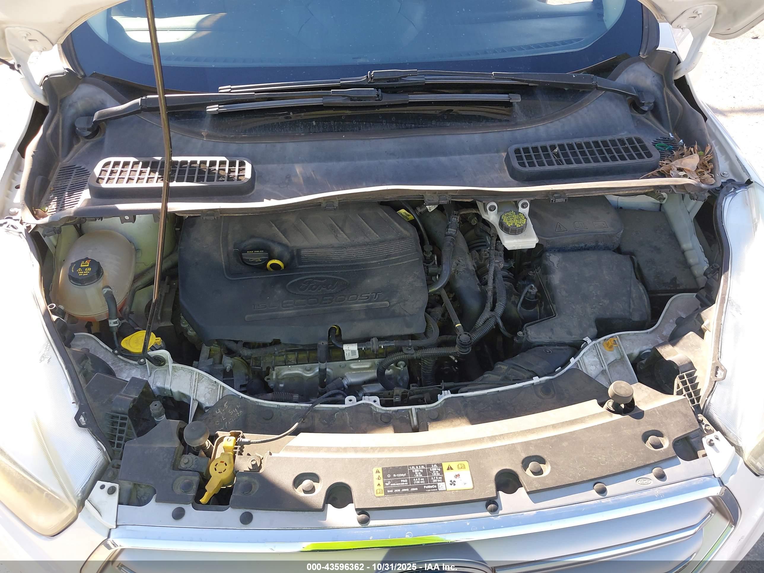 FORD ESCAPE image 10