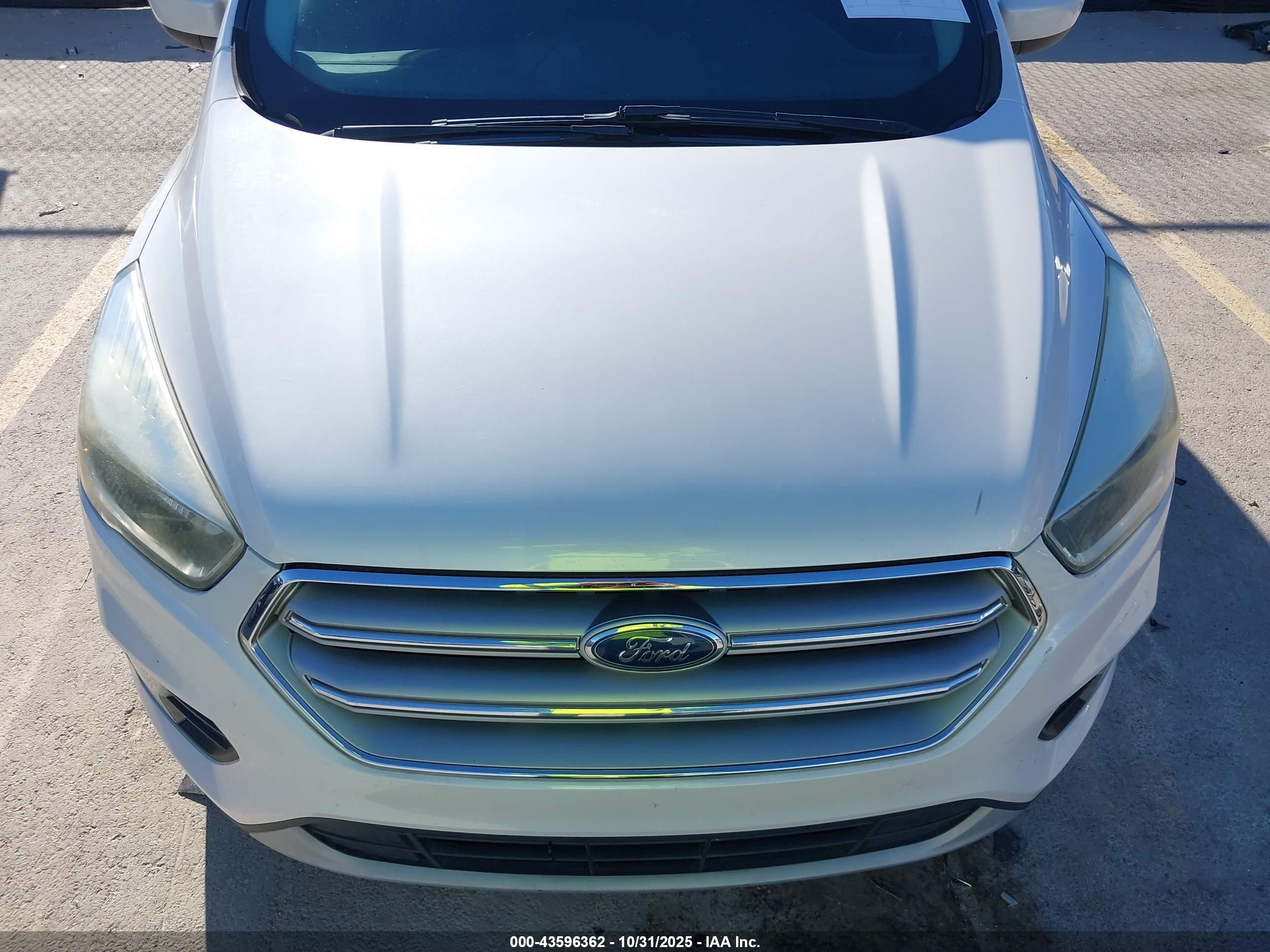 FORD ESCAPE image 6
