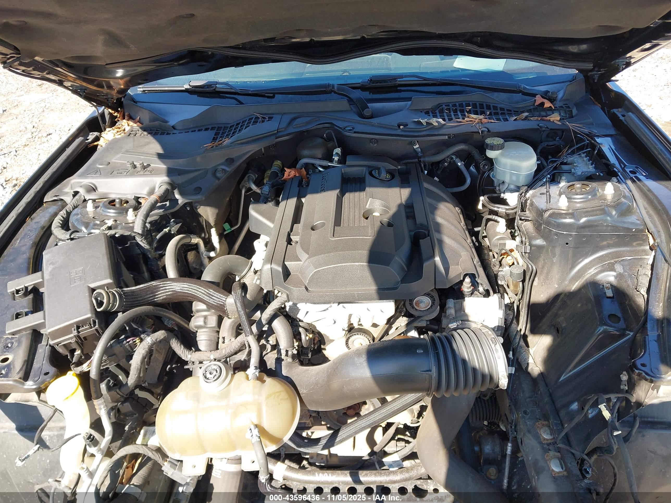 FORD MUSTANG image 10