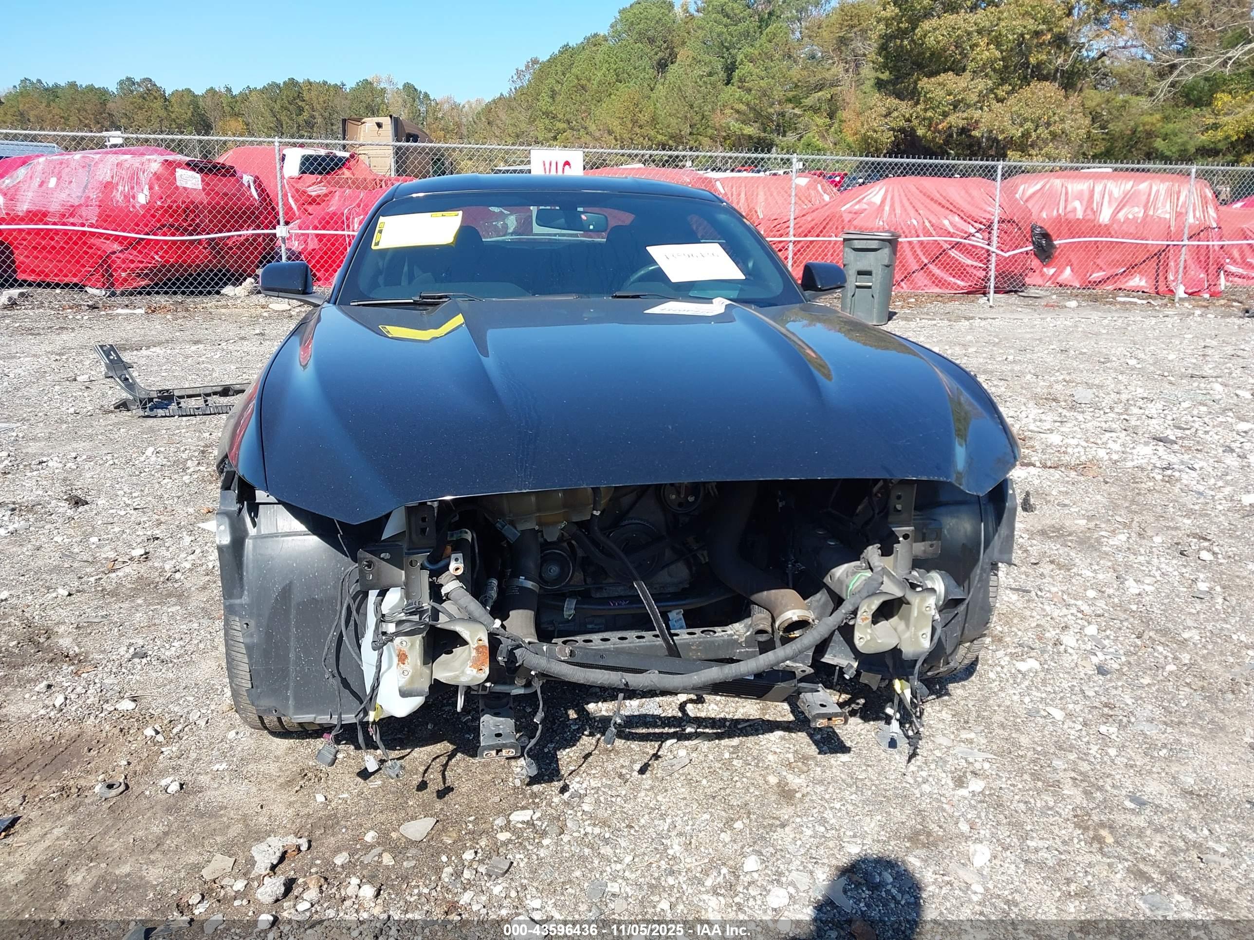 FORD MUSTANG image 6