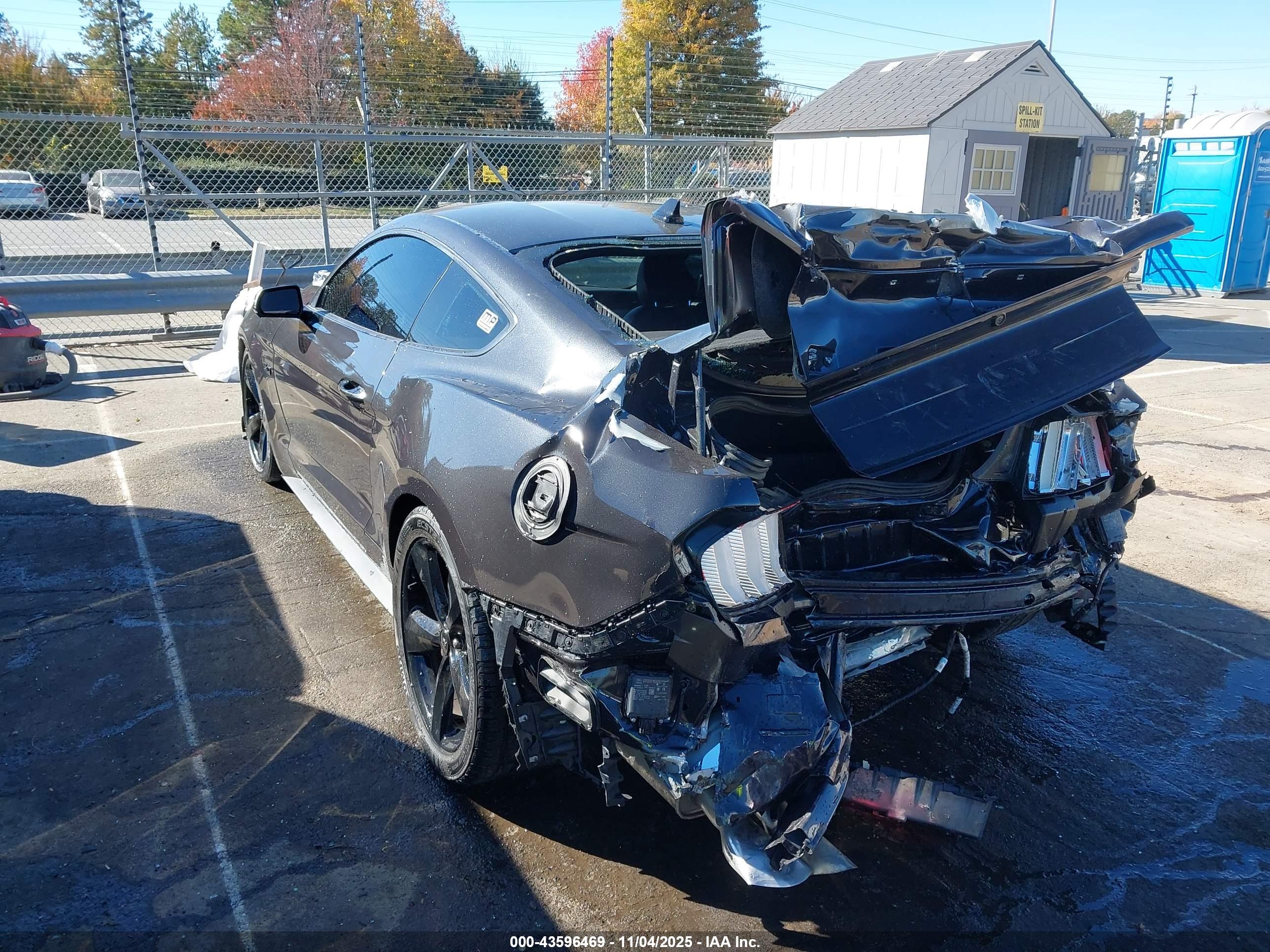 FORD MUSTANG image 3