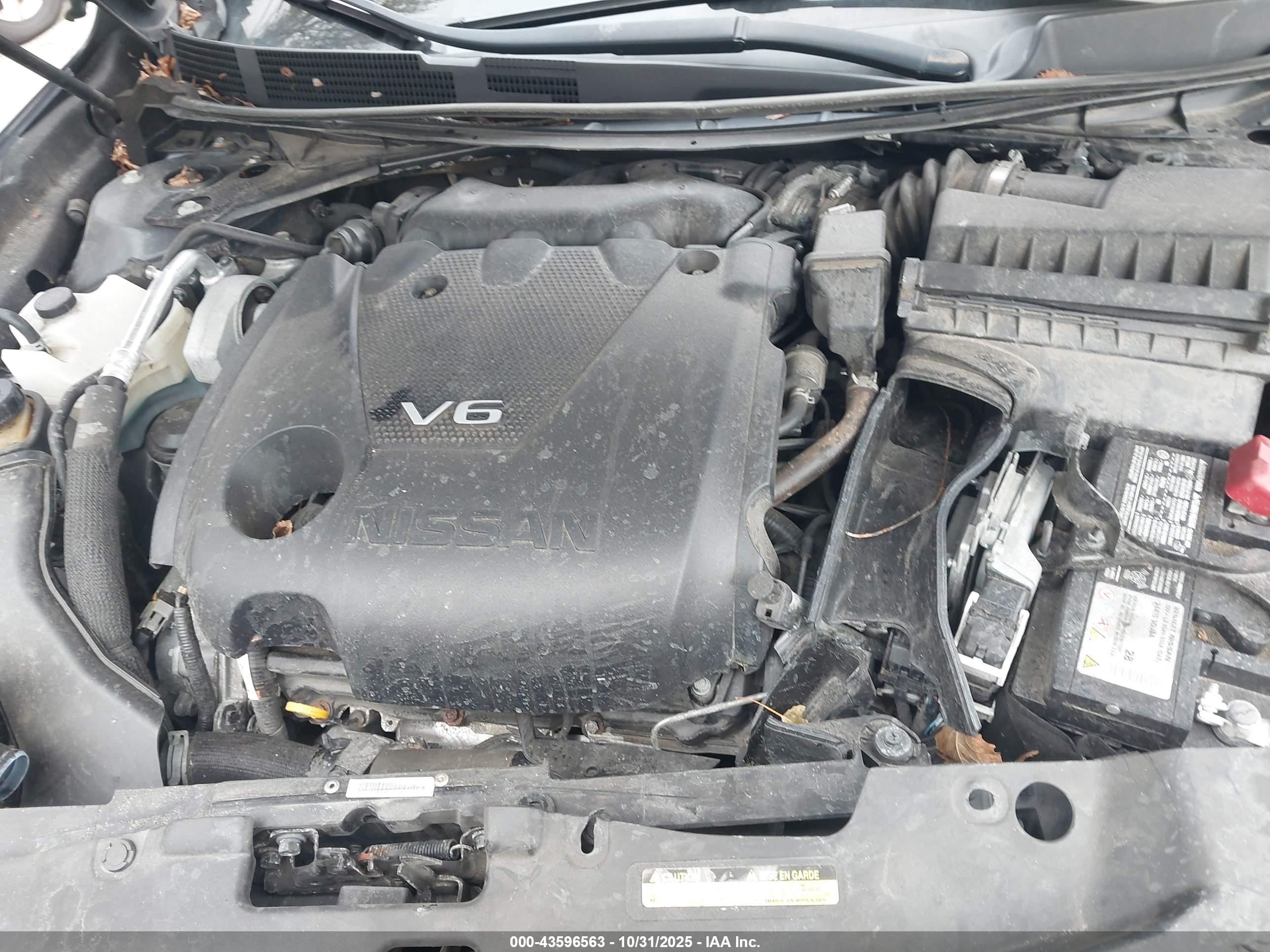 NISSAN MAXIMA image 10