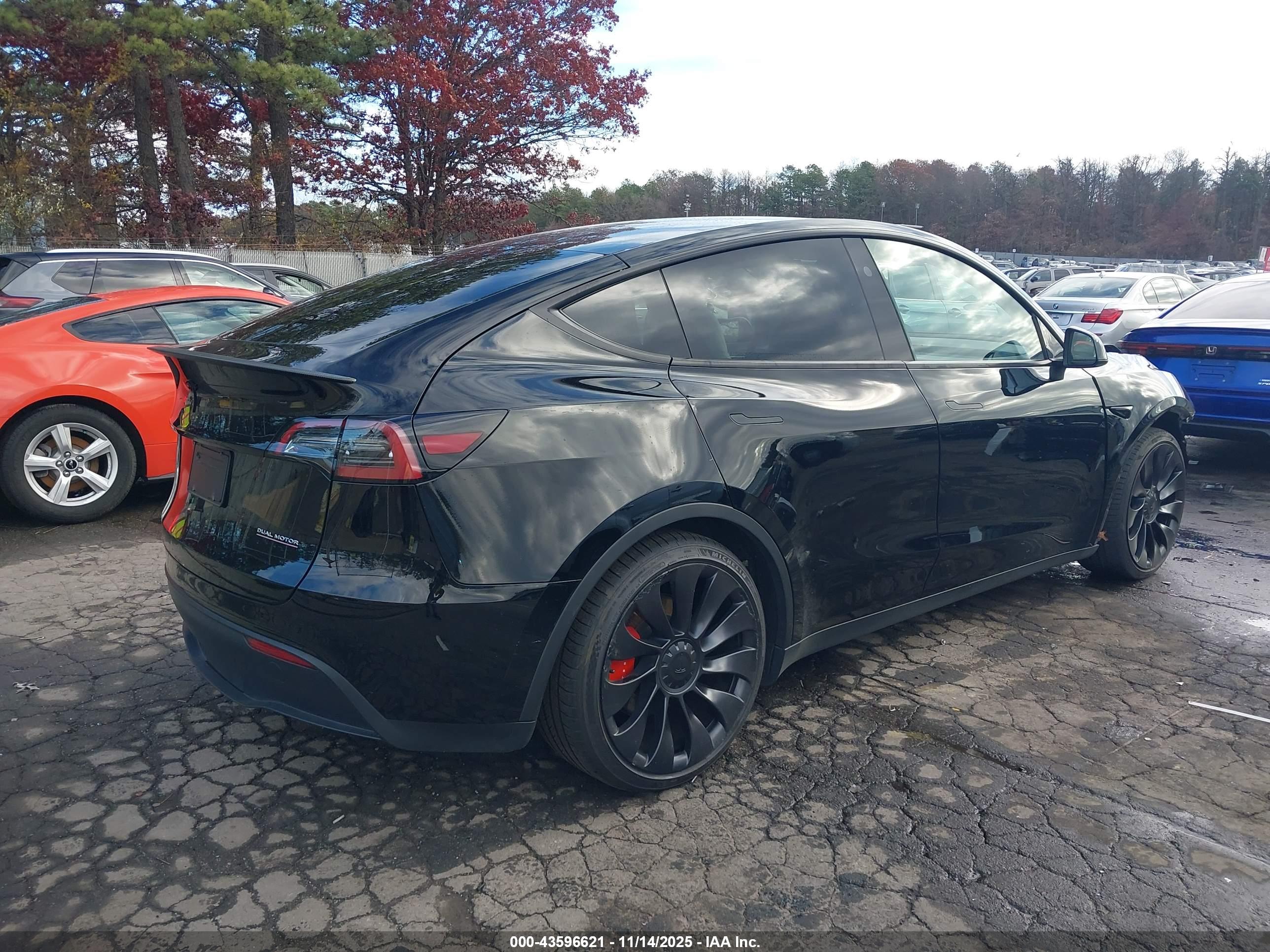 TESLA MODEL image 4