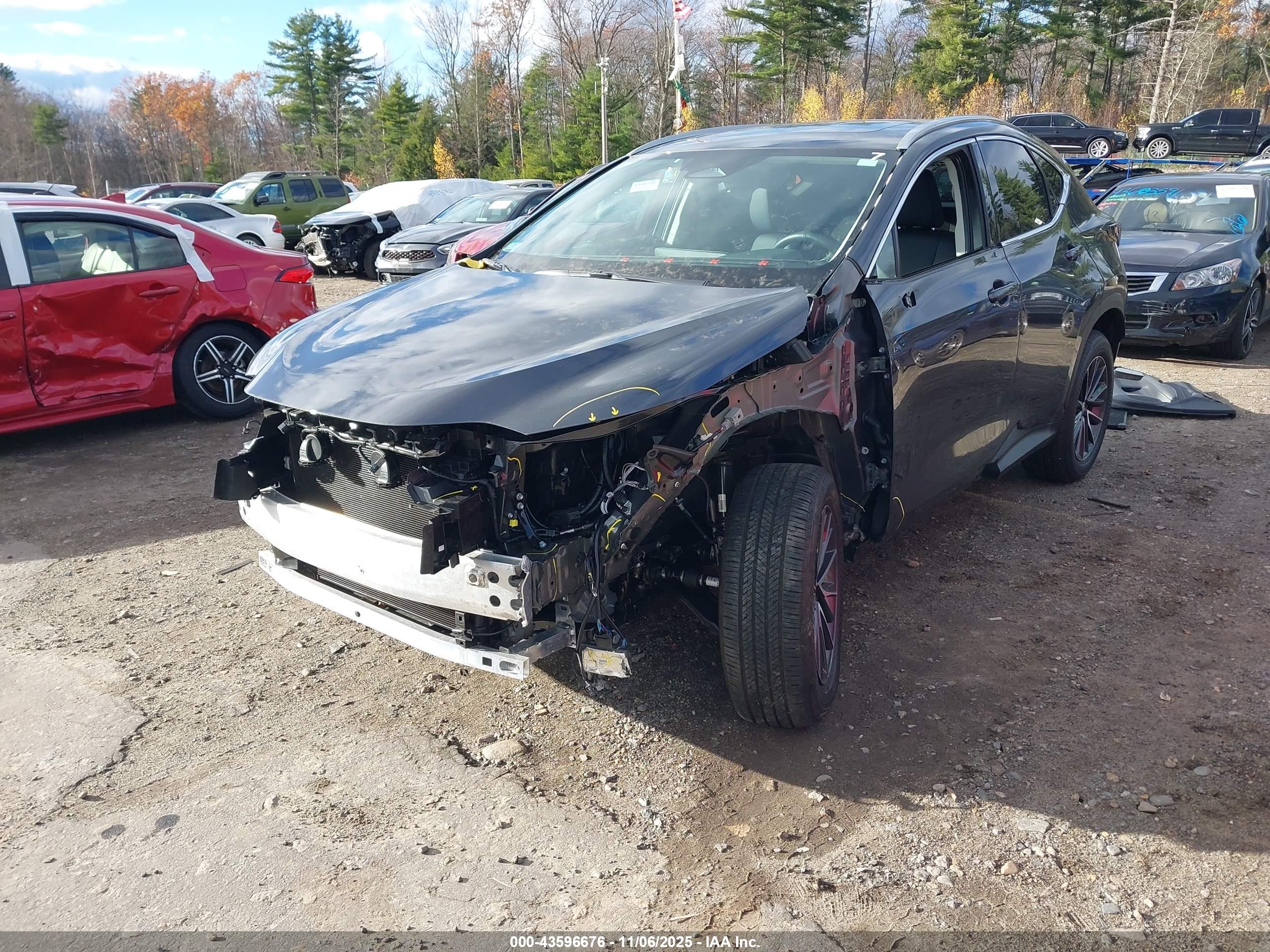 LEXUS NX image 2