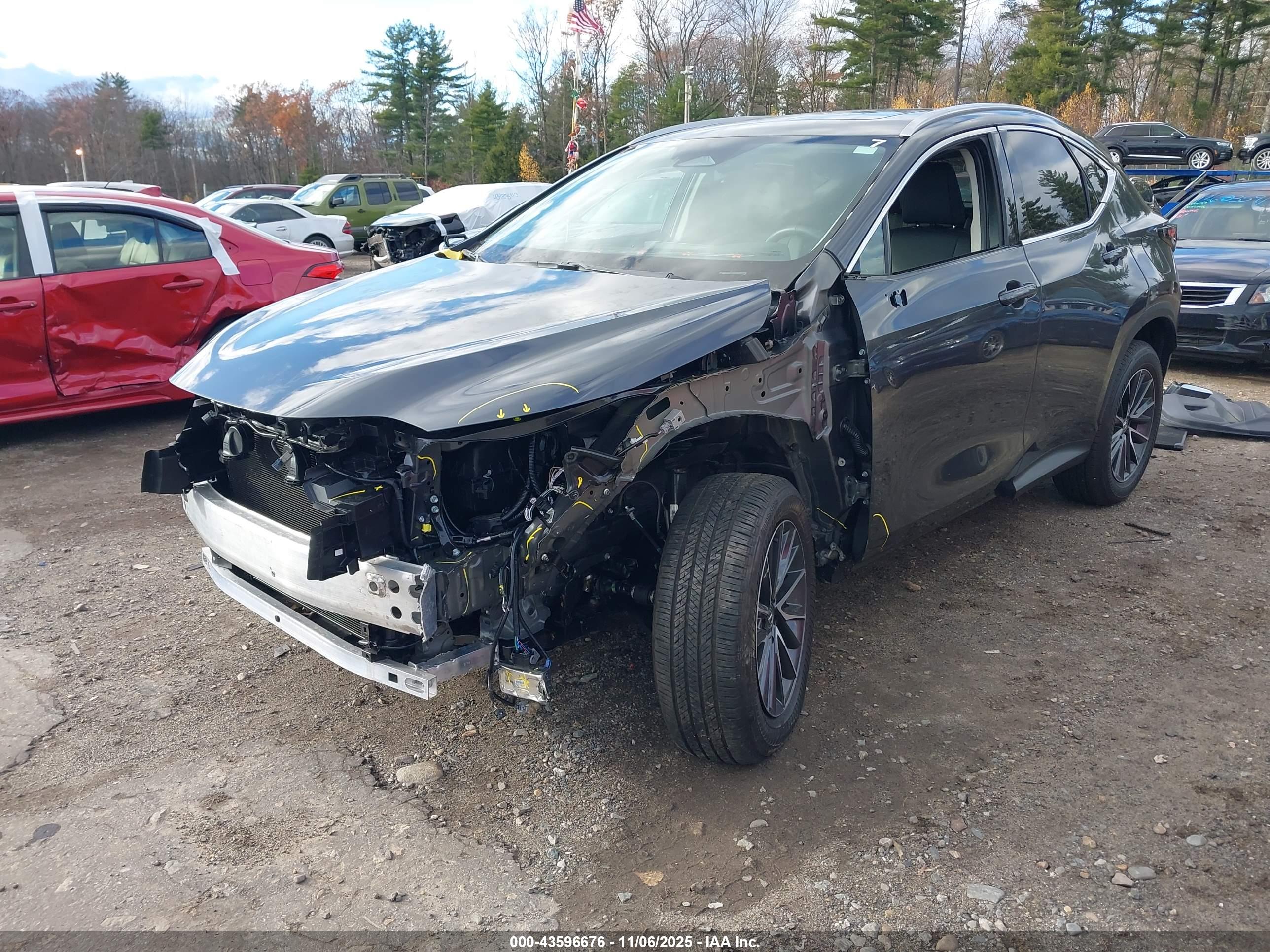 LEXUS NX image 6