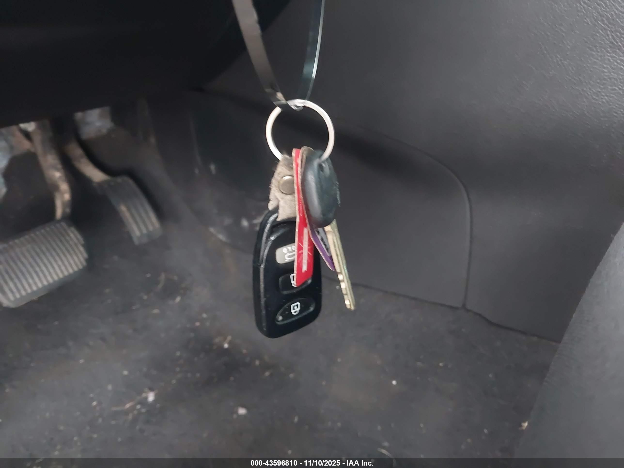 FORD FOCUS image 11