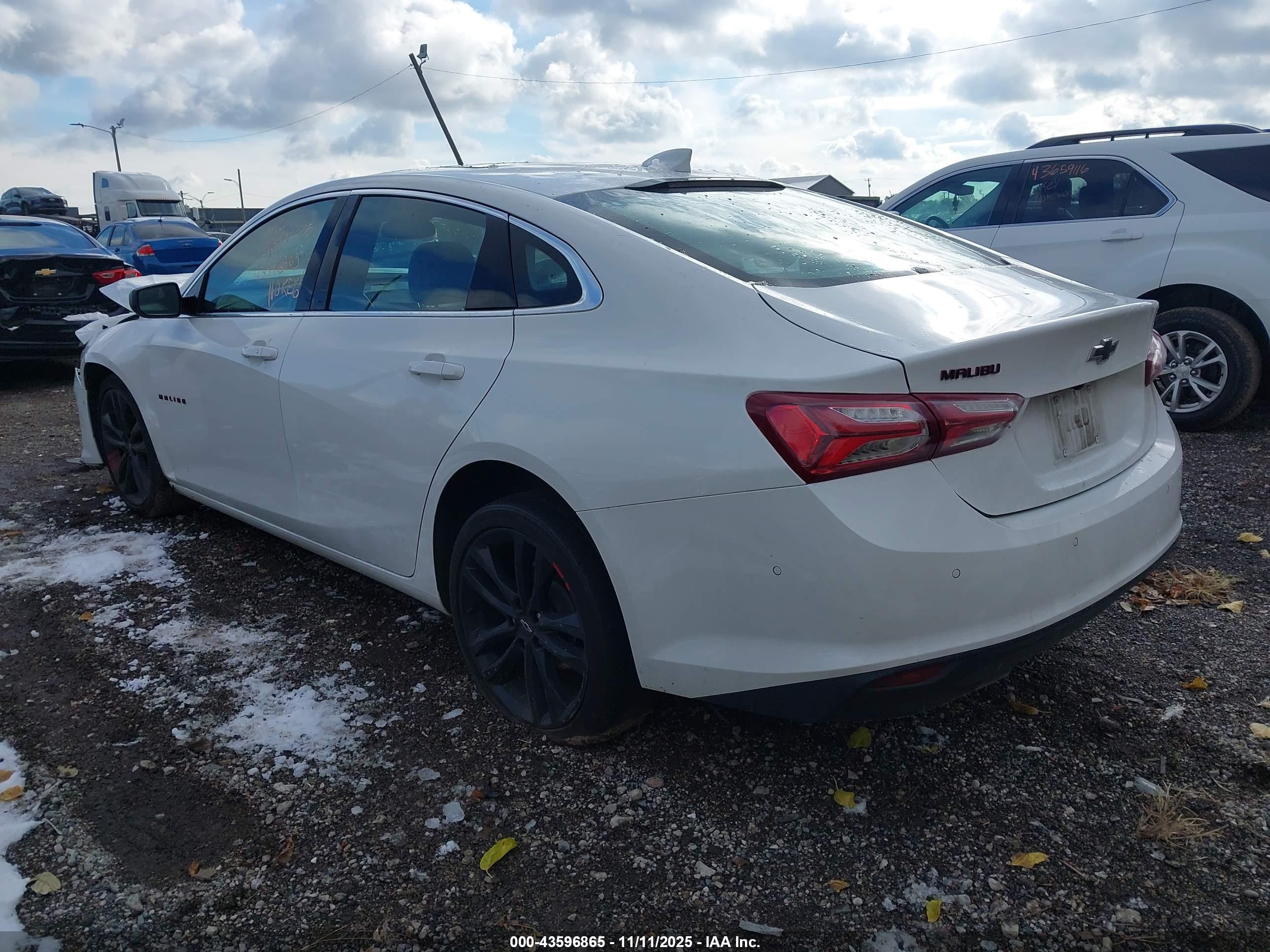 CHEVROLET MALIBU image 3