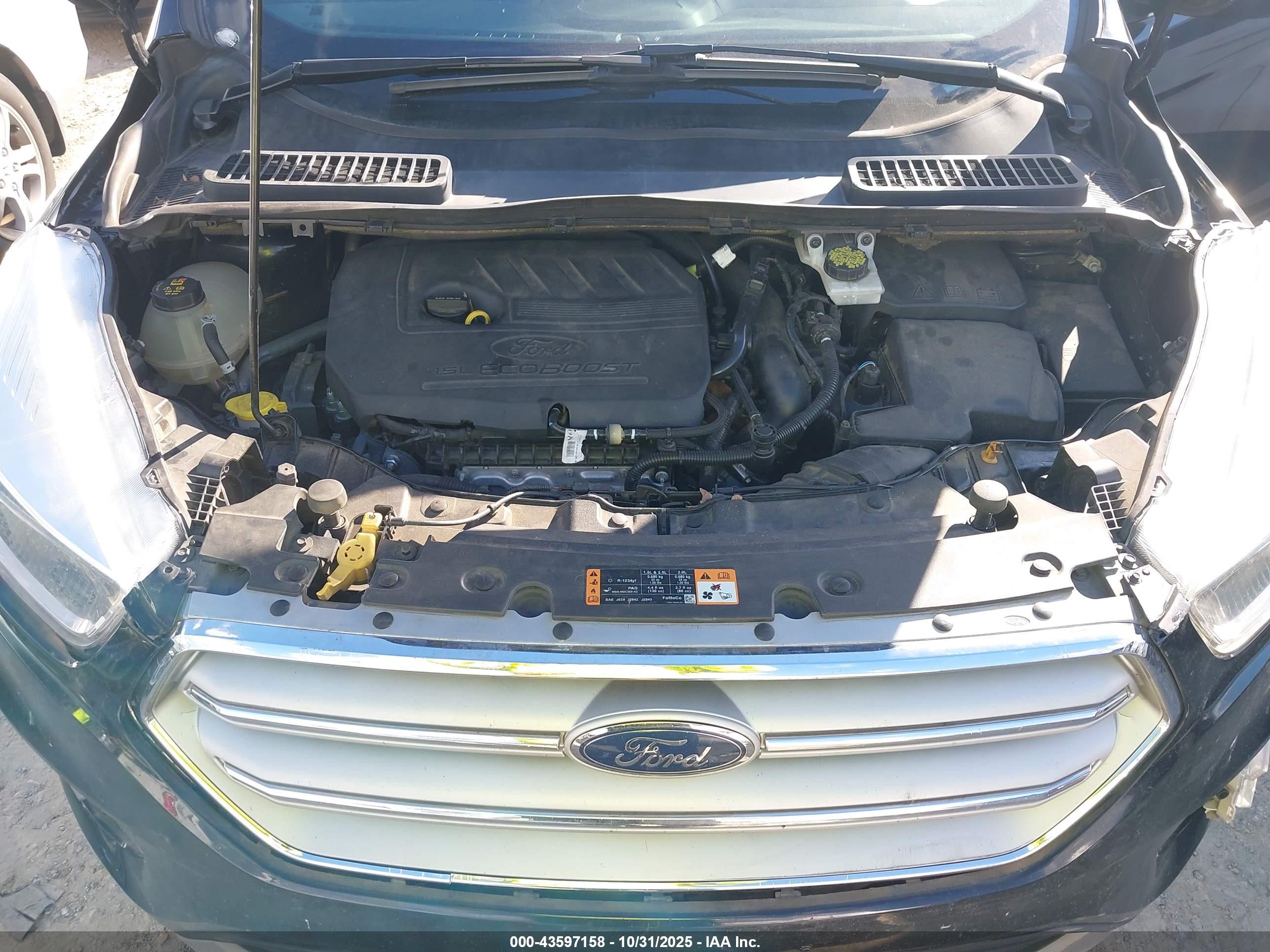 FORD ESCAPE image 10