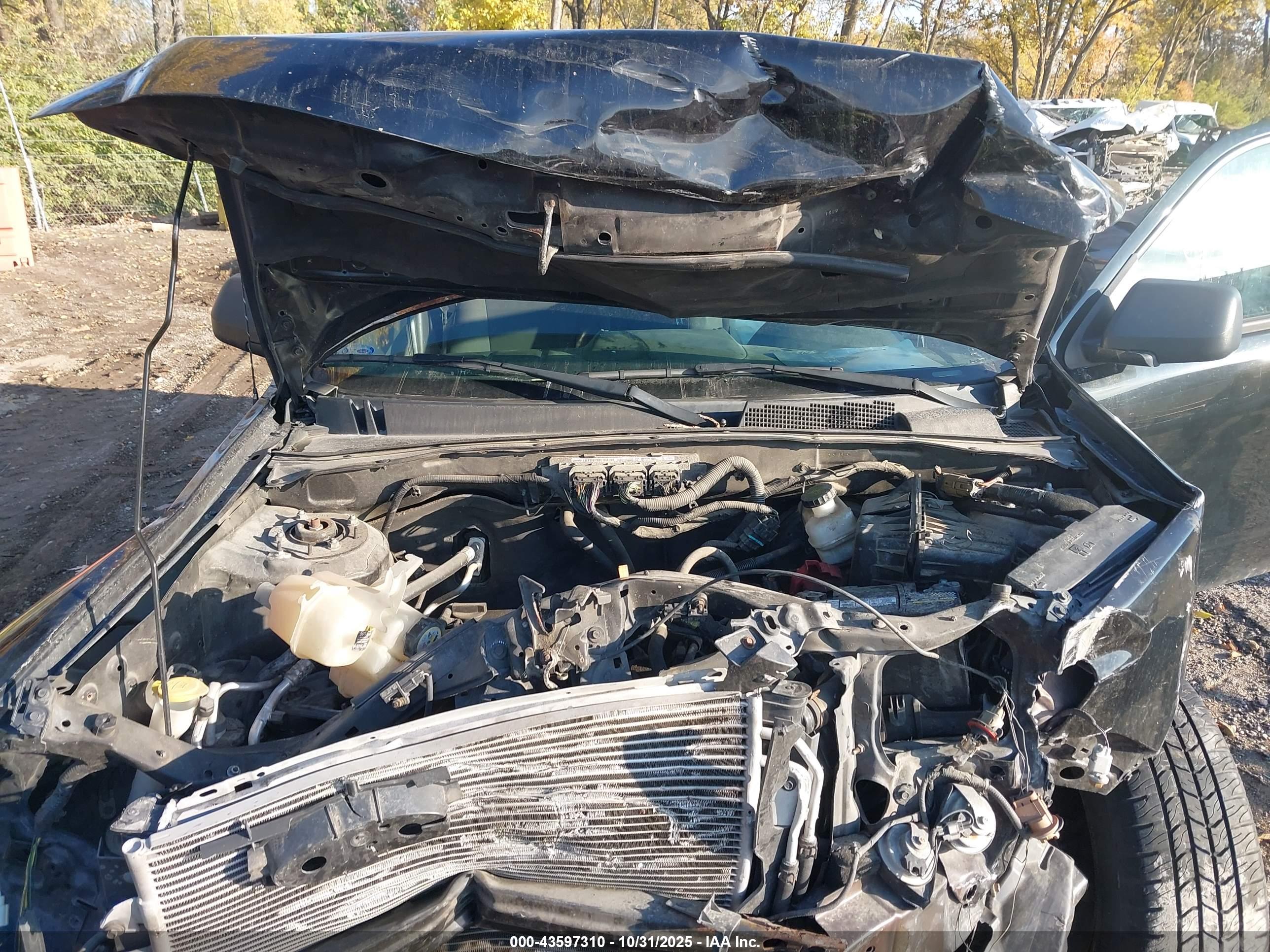 FORD ESCAPE image 10