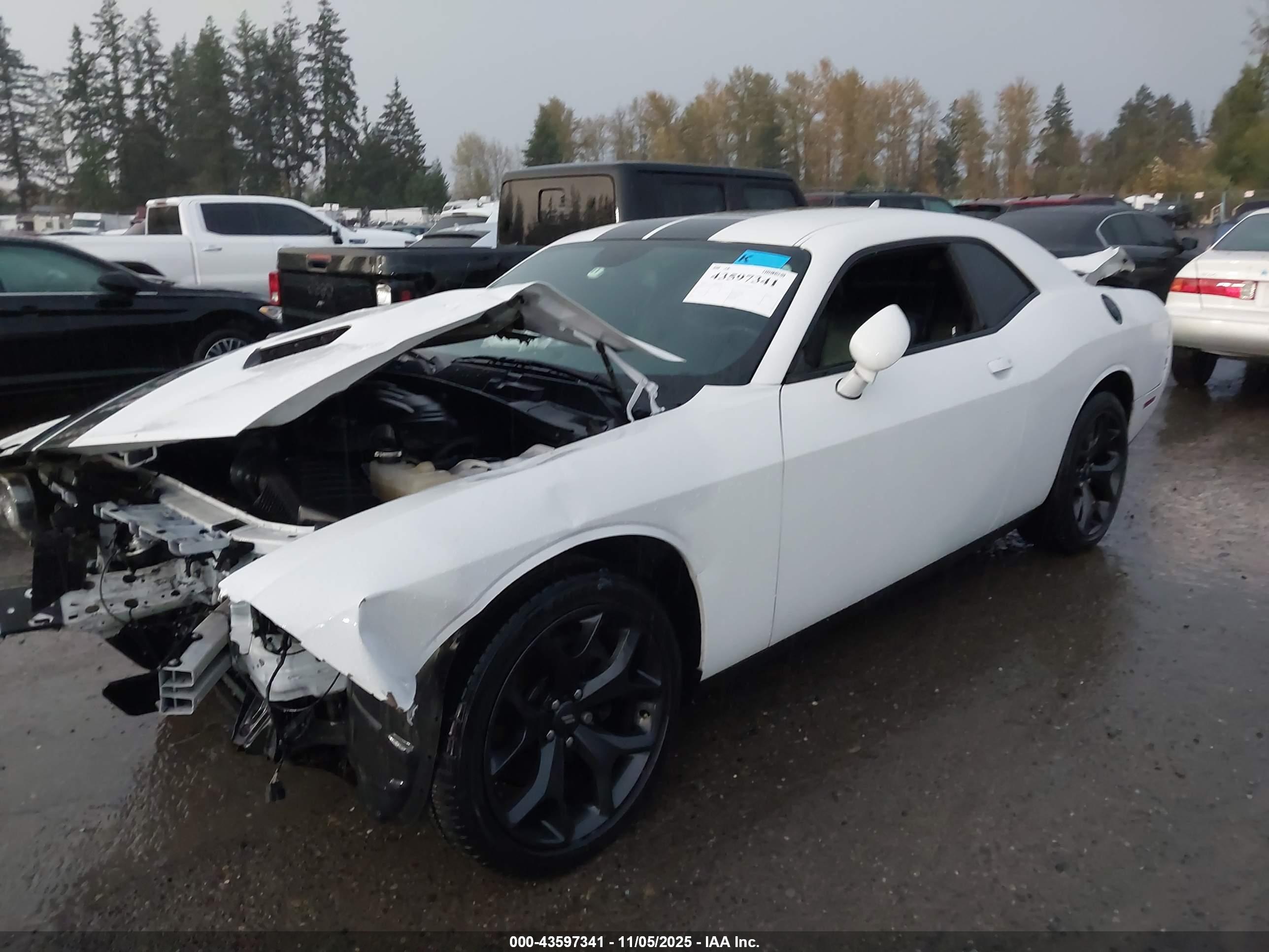 DODGE CHALLENGER image 2