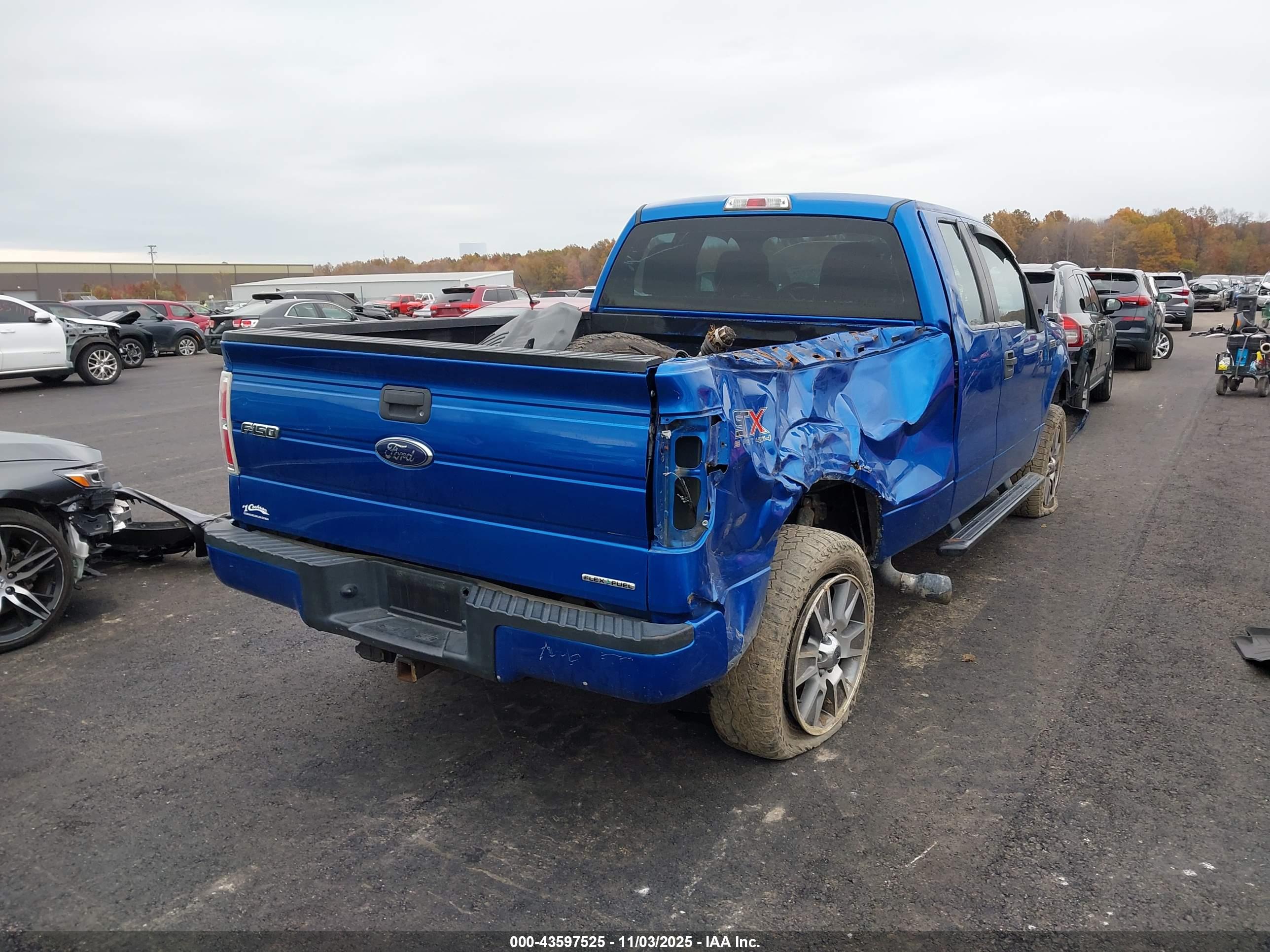 FORD F-150 image 4