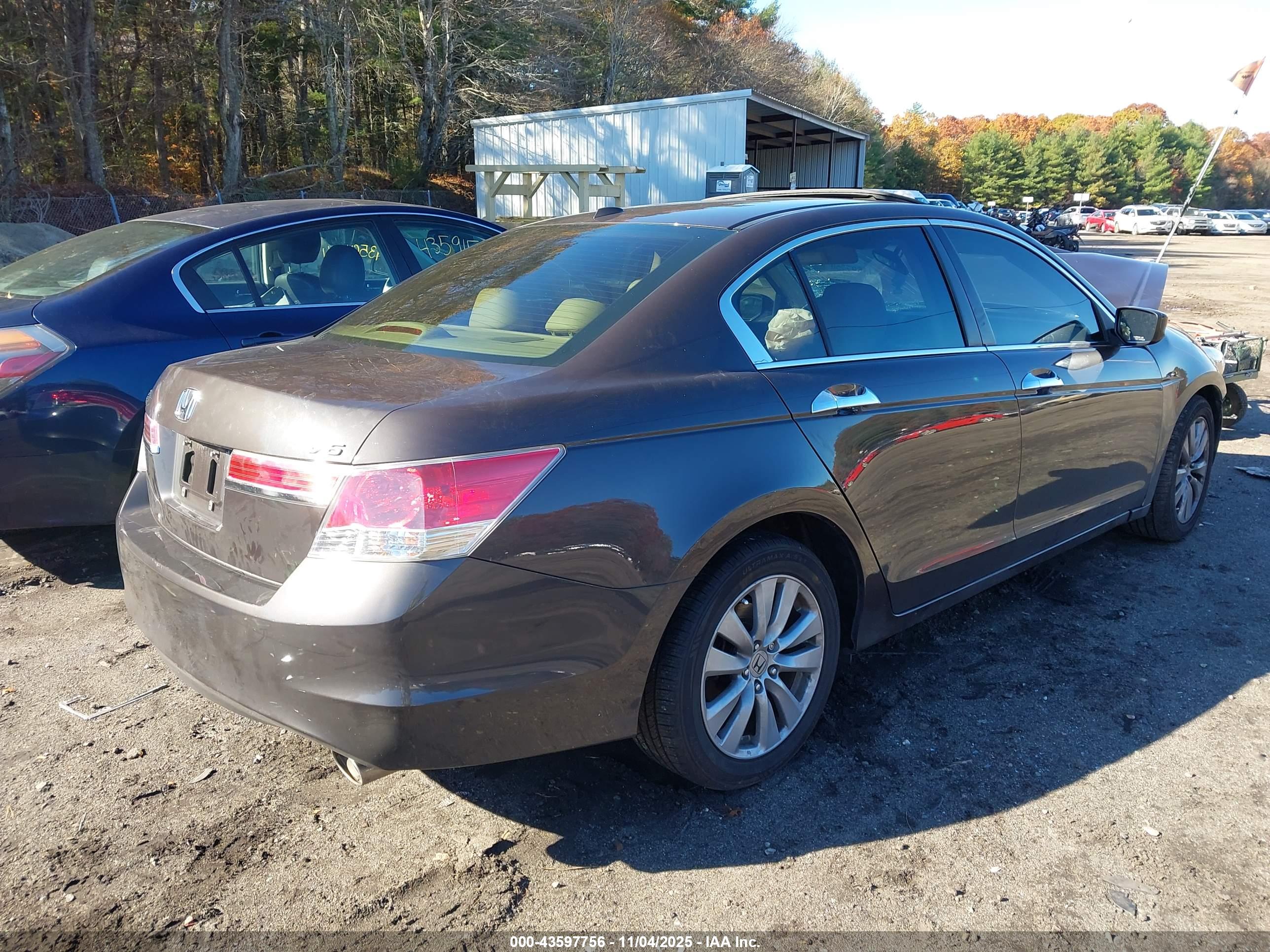 HONDA ACCORD image 4