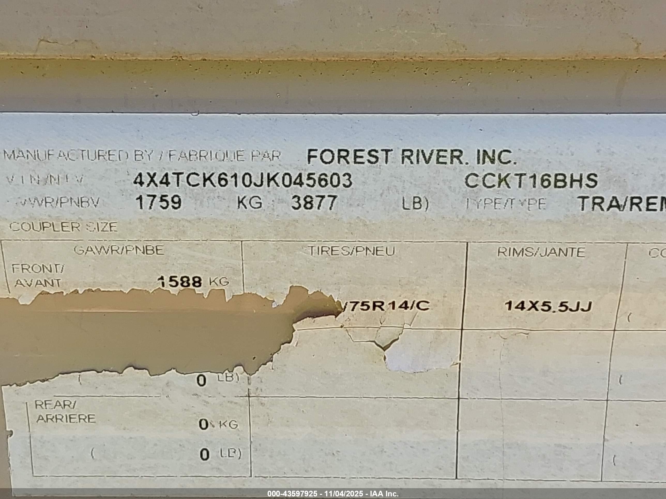 FOREST RIV image 9
