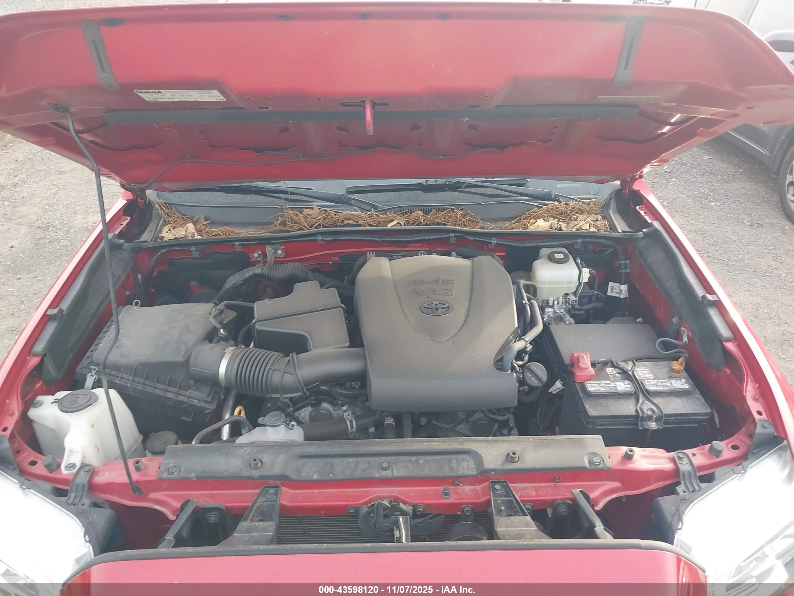TOYOTA TACOMA image 10