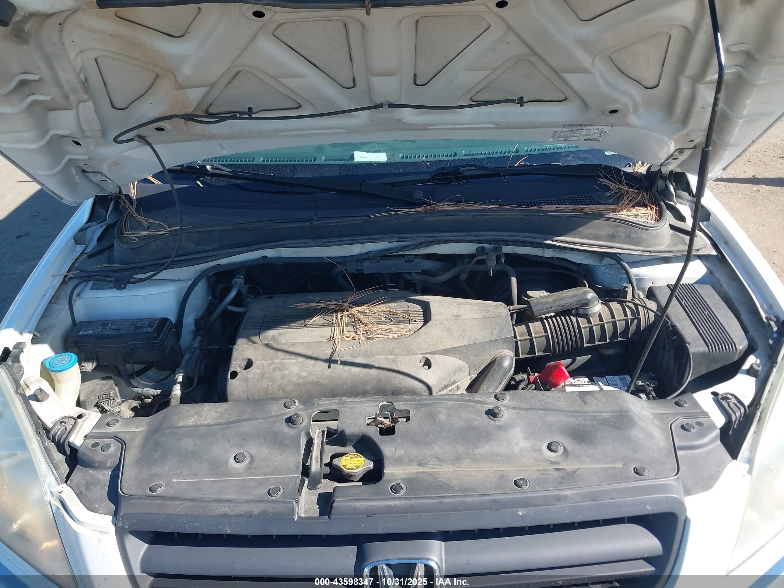 HONDA PILOT image 10