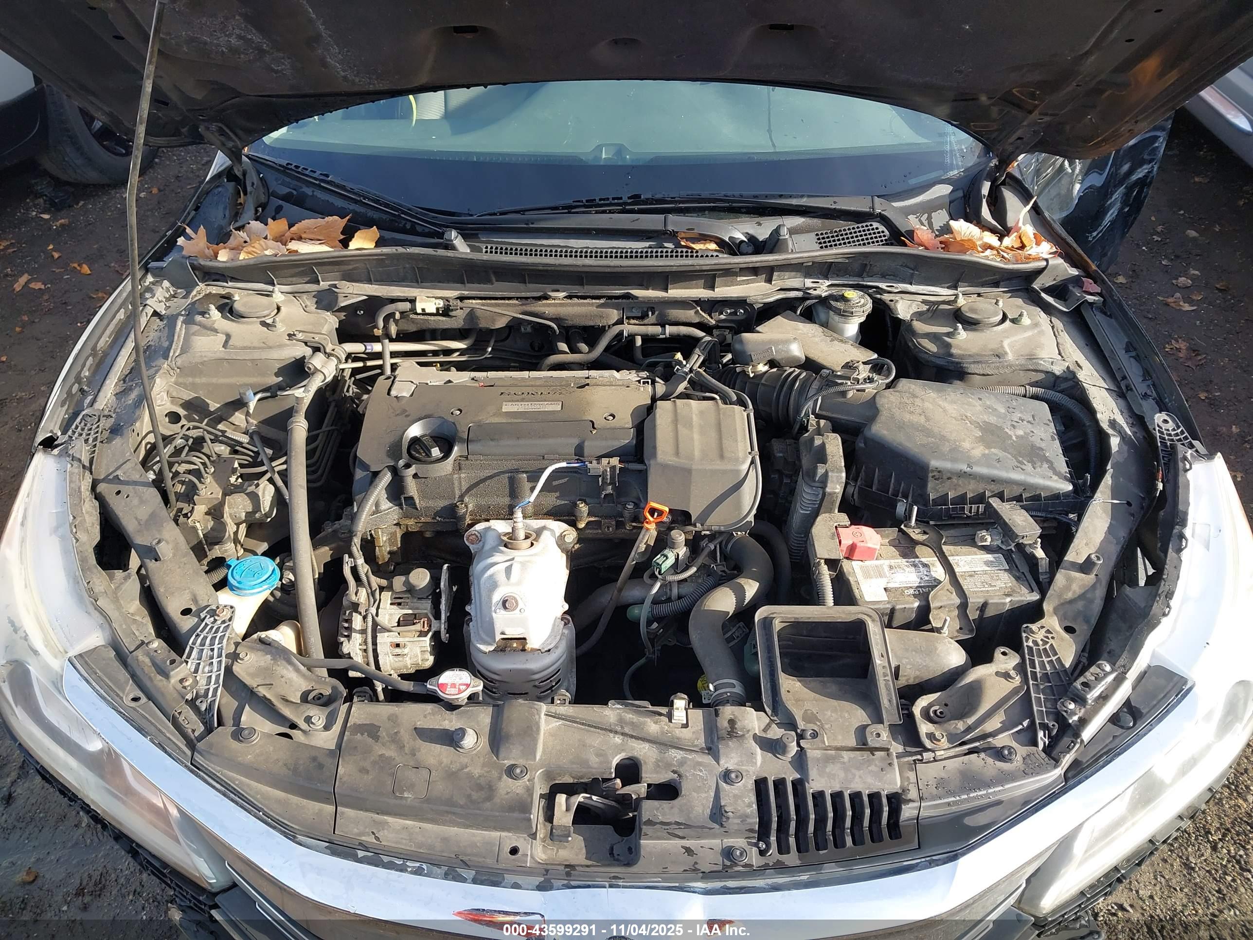 HONDA ACCORD image 10