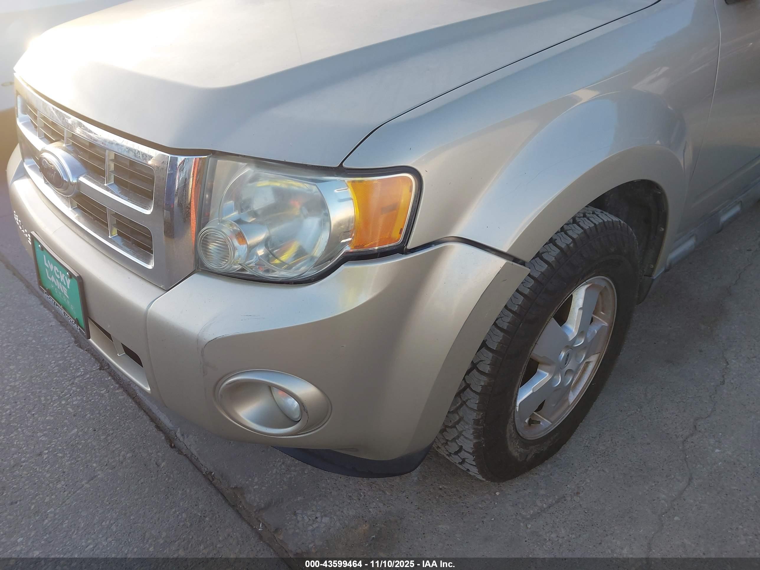 FORD ESCAPE image 6